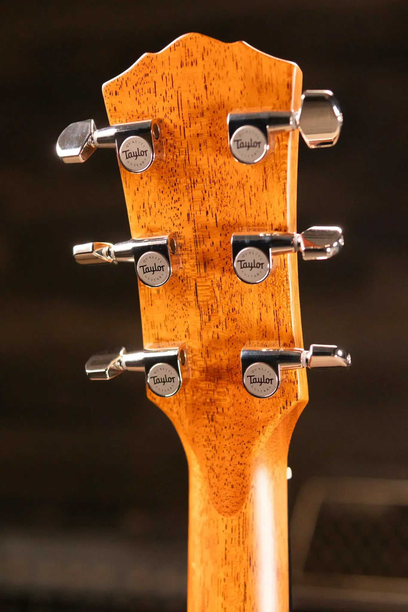 Taylor Gold Label 714e SB Super Auditorium Acoustic/Electric Guitar - Sunburst with Firestripe Pickguard and Hardshell Case