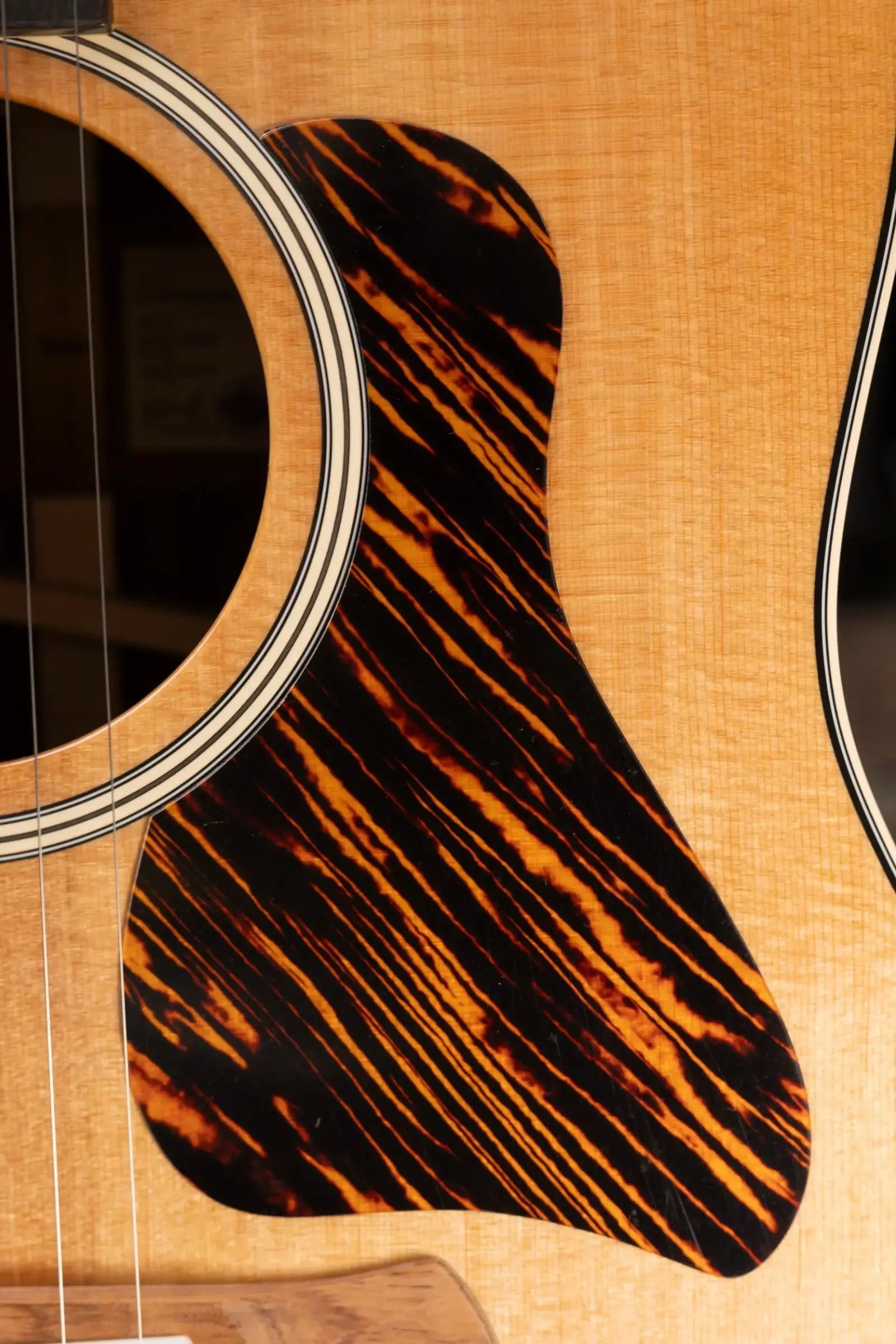 Taylor Gold Label 717e Dreadnought Acoustic/Electric Guitar - Indian Rosewood Torrefied Sitka with Hardshell Case