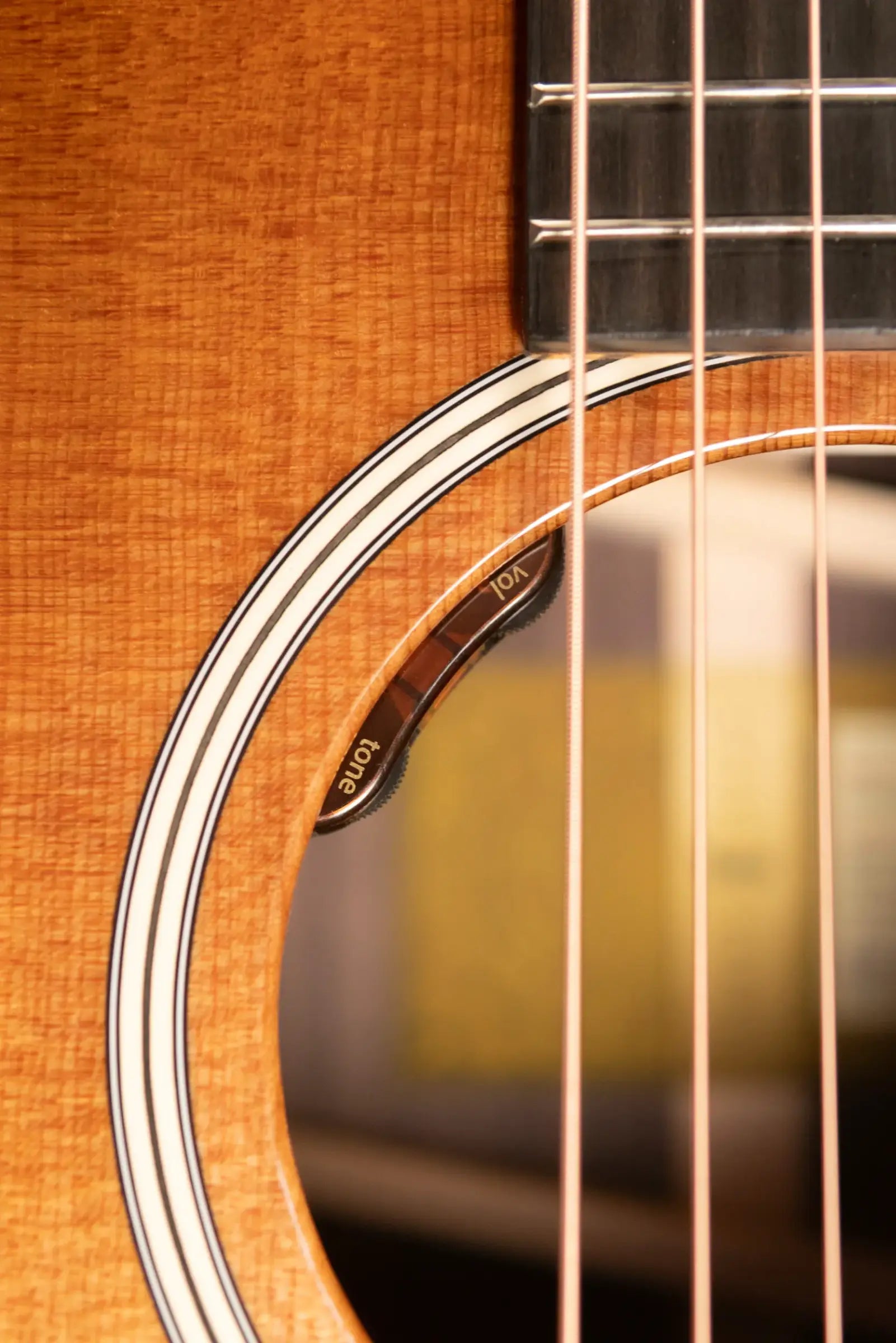 Taylor Gold Label 717e Grand Pacific Acoustic/Electric Guitar - Sunburst with Cream Pickguard and Hardshell Case