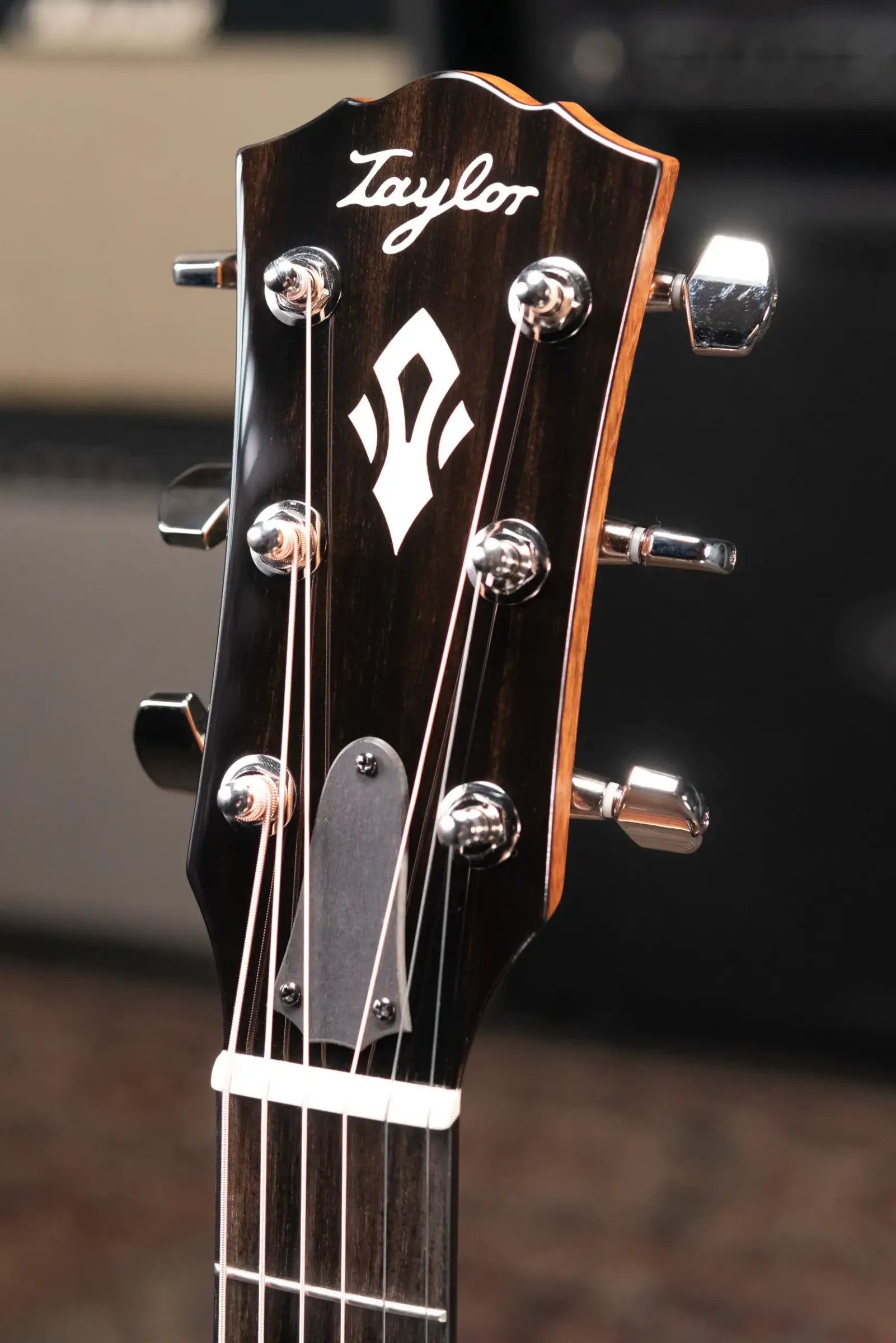 Taylor Gold Label 717e Grand Pacific Acoustic/Electric Guitar with Hardshell Case