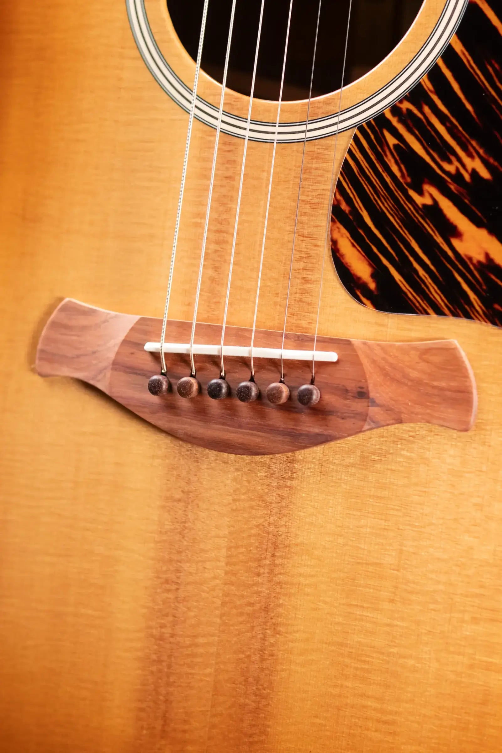 Taylor Gold Label 717e SB Grand Pacific Acoustic/Electric Guitar - Sunburst with Firestripe Pickguard and Hardshell Case