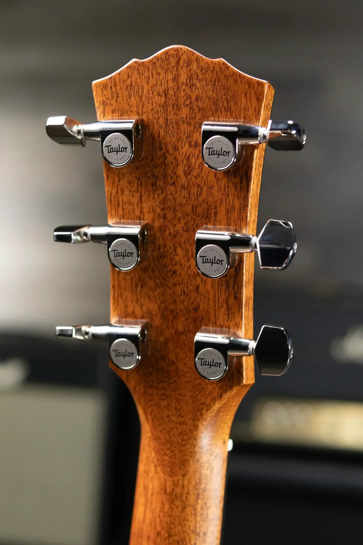 Taylor Gold Label 717e SB Grand Pacific Acoustic/Electric Guitar - Sunburst with Firestripe Pickguard and Hardshell Case
