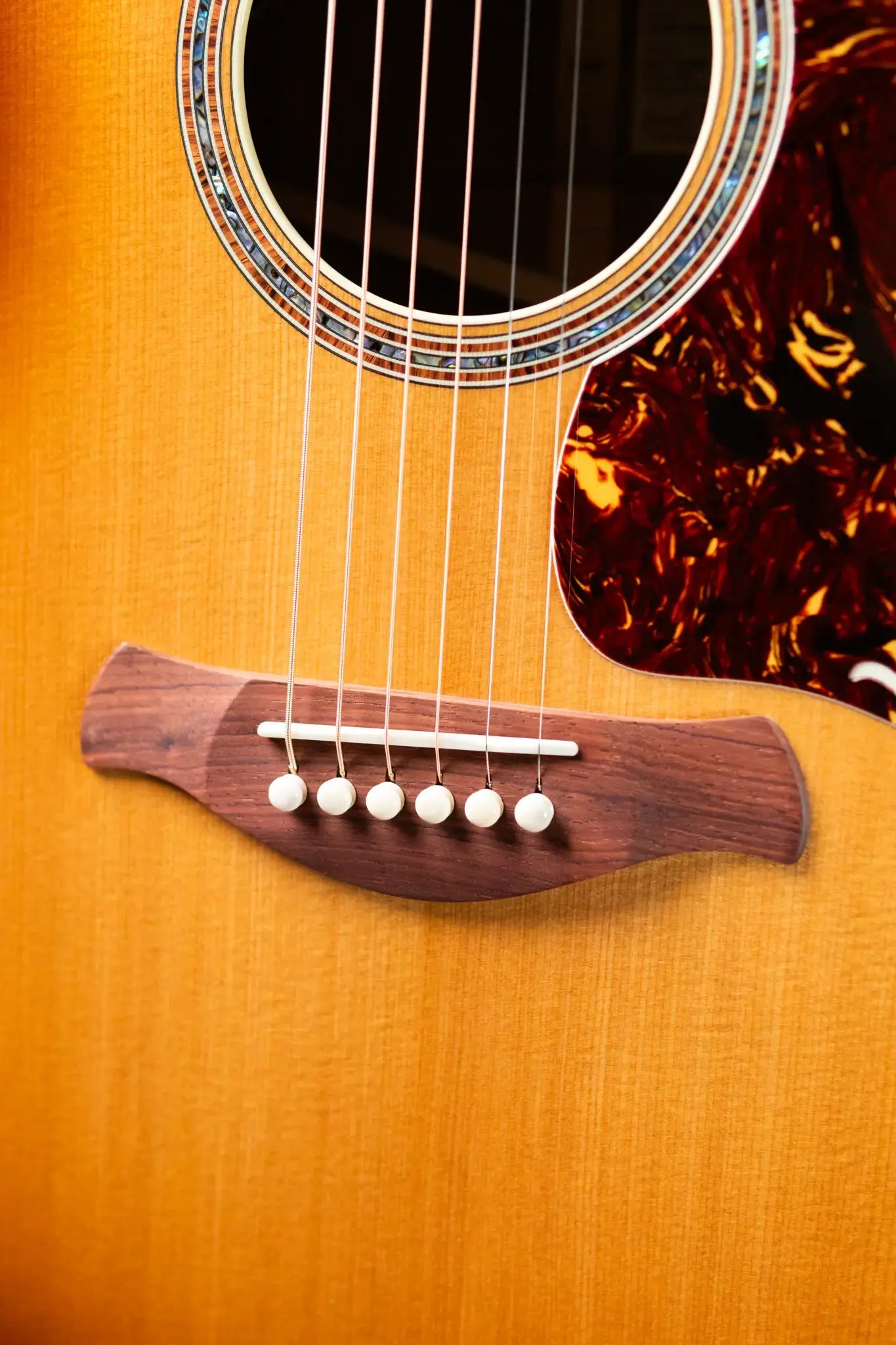 Taylor Gold Label 814e SB Super Auditorium Acoustic/Electric Guitar - Burst Top with Hardshell Case - Factory Demo