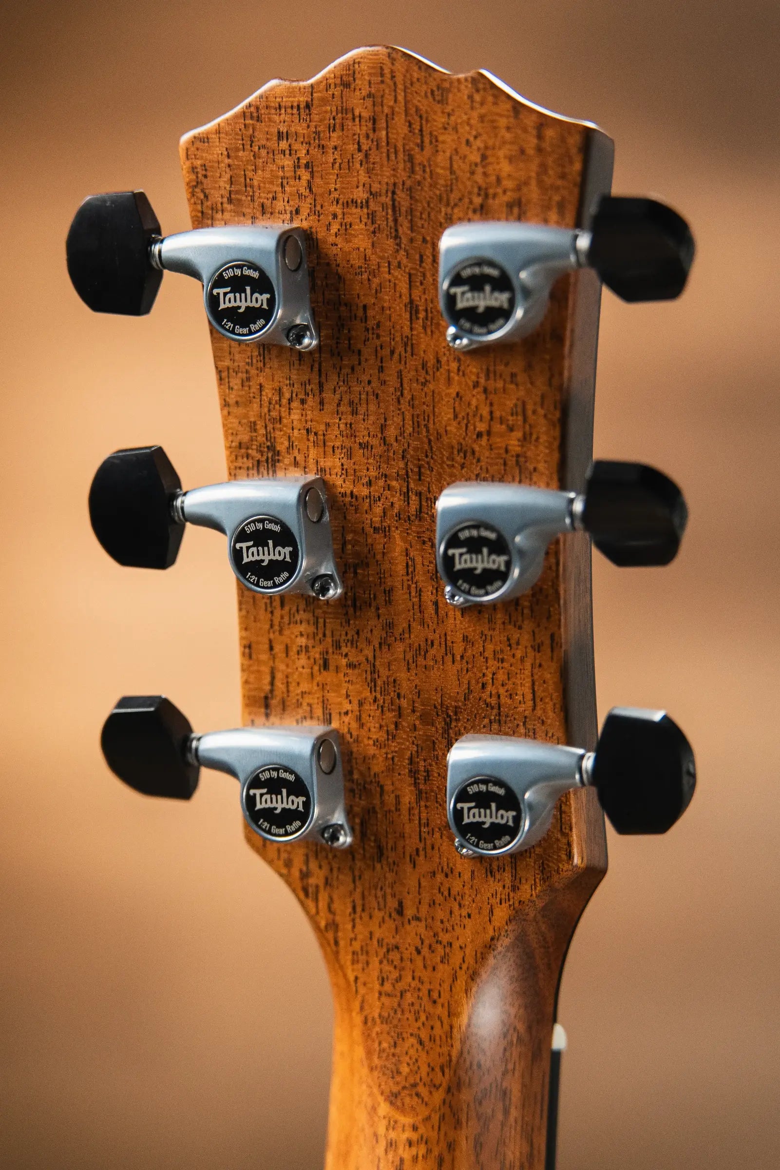 Taylor Gold Label 814e Super Auditorium Acoustic/Electric Guitar - Natural Top with Hardshell Case