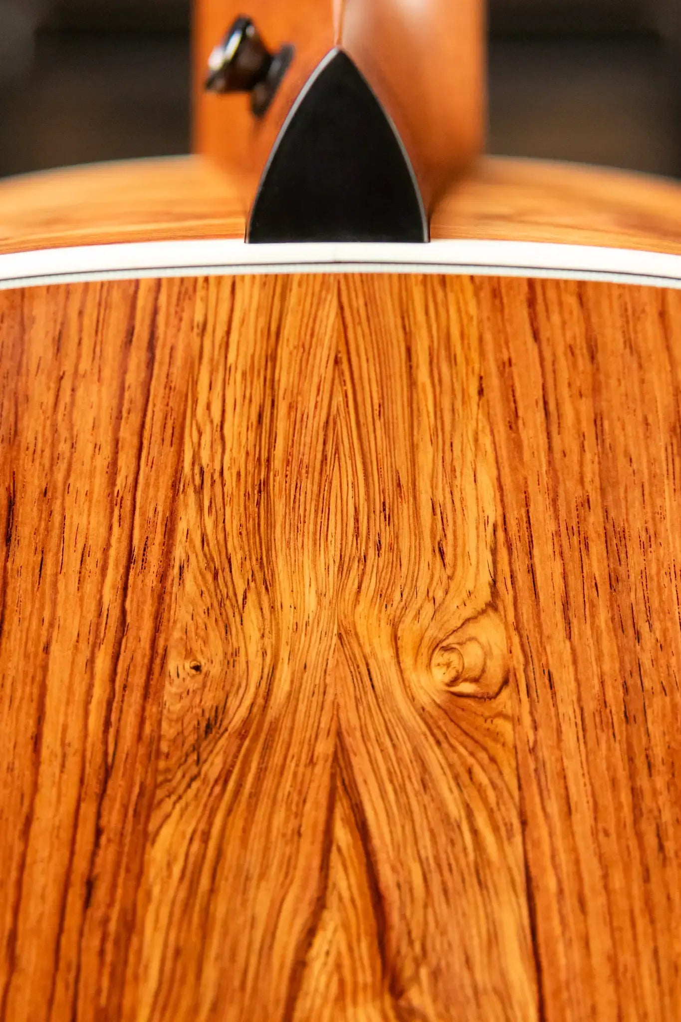 Taylor Gold Label 817e Grand Pacific Acoustic/Electric Guitar - Natural with Hardshell Case