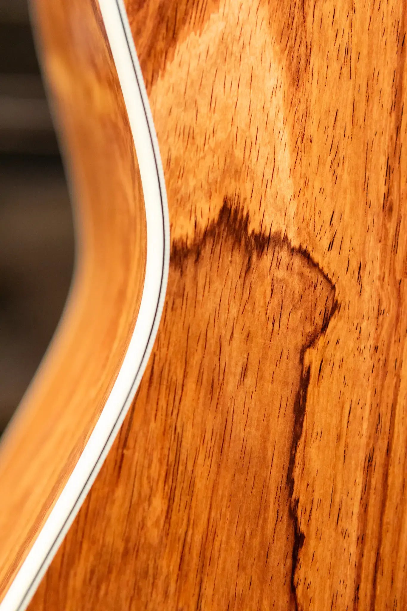 Taylor Gold Label 817e Grand Pacific Acoustic/Electric Guitar - Natural with Hardshell Case