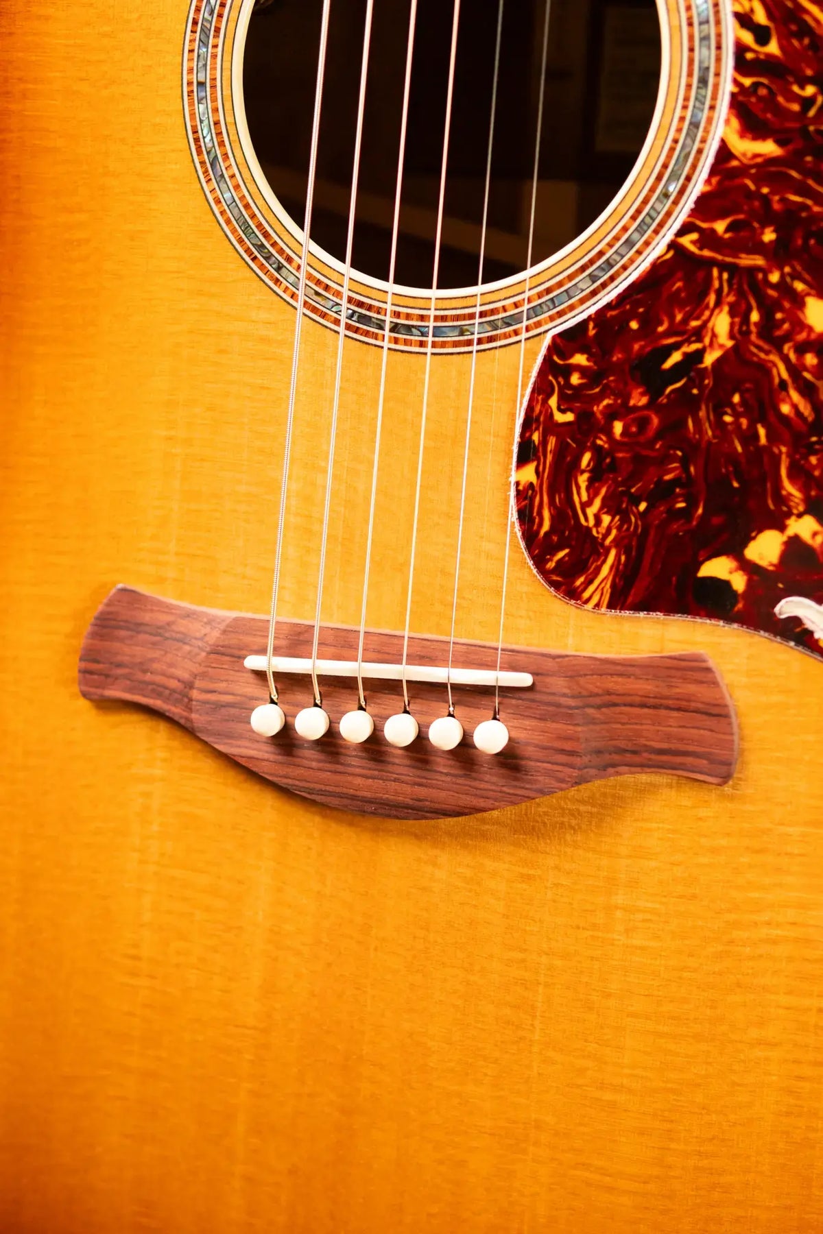 Taylor Gold Label 817e SB Grand Pacific Acoustic/Electric Guitar - Sunburst with Hardshell Case - Demo