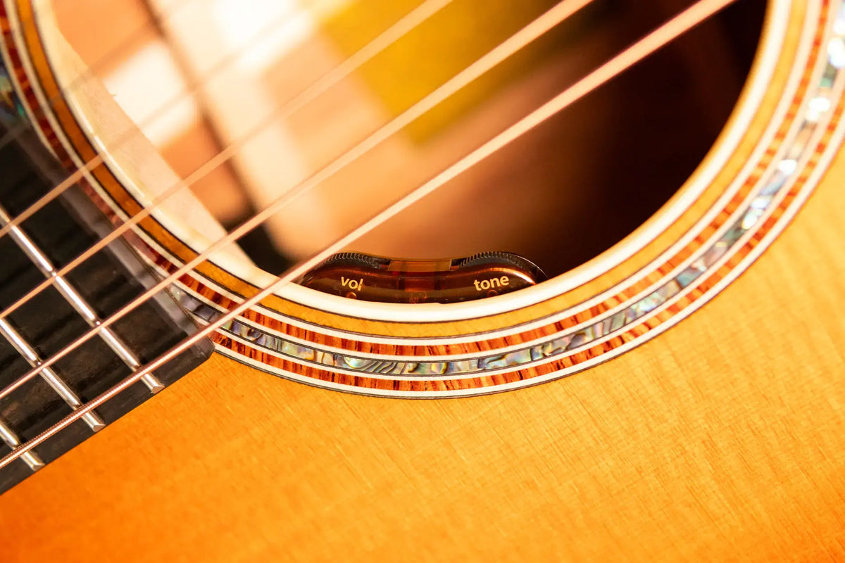 Taylor Gold Label 817e SB Grand Pacific Acoustic/Electric Guitar - Sunburst with Hardshell Case - Demo