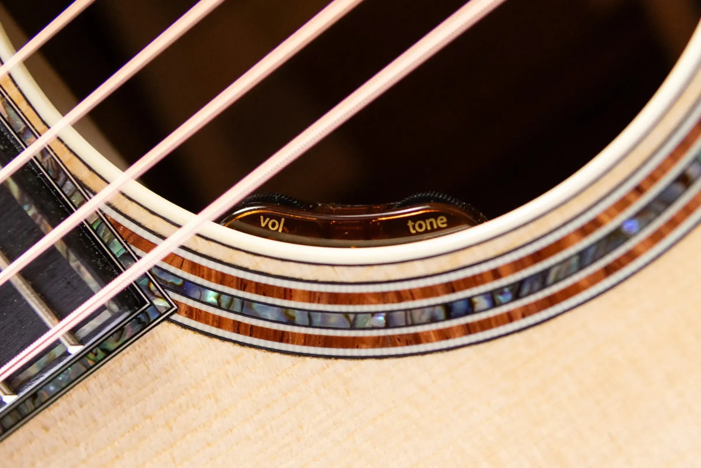Taylor Gold Label 917e LTD Grand Pacific Acoustic/Electric Guitar - Brazilian Rosewood with Hardshell Case