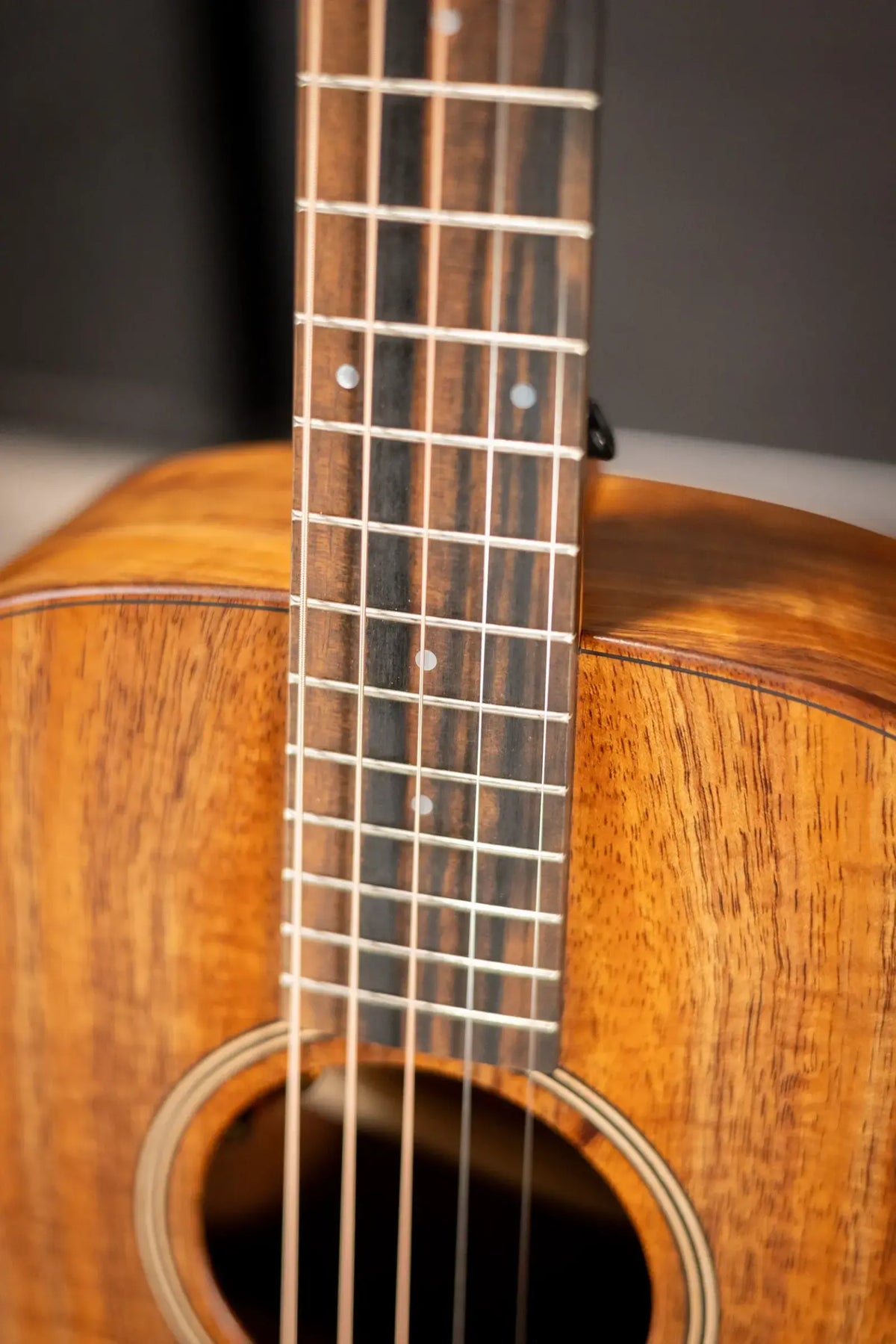 Taylor JCSM-5 Jacob Collier Signature 5-String Acoustic/Electric Guitar with Hardshell Case - Factory Demo