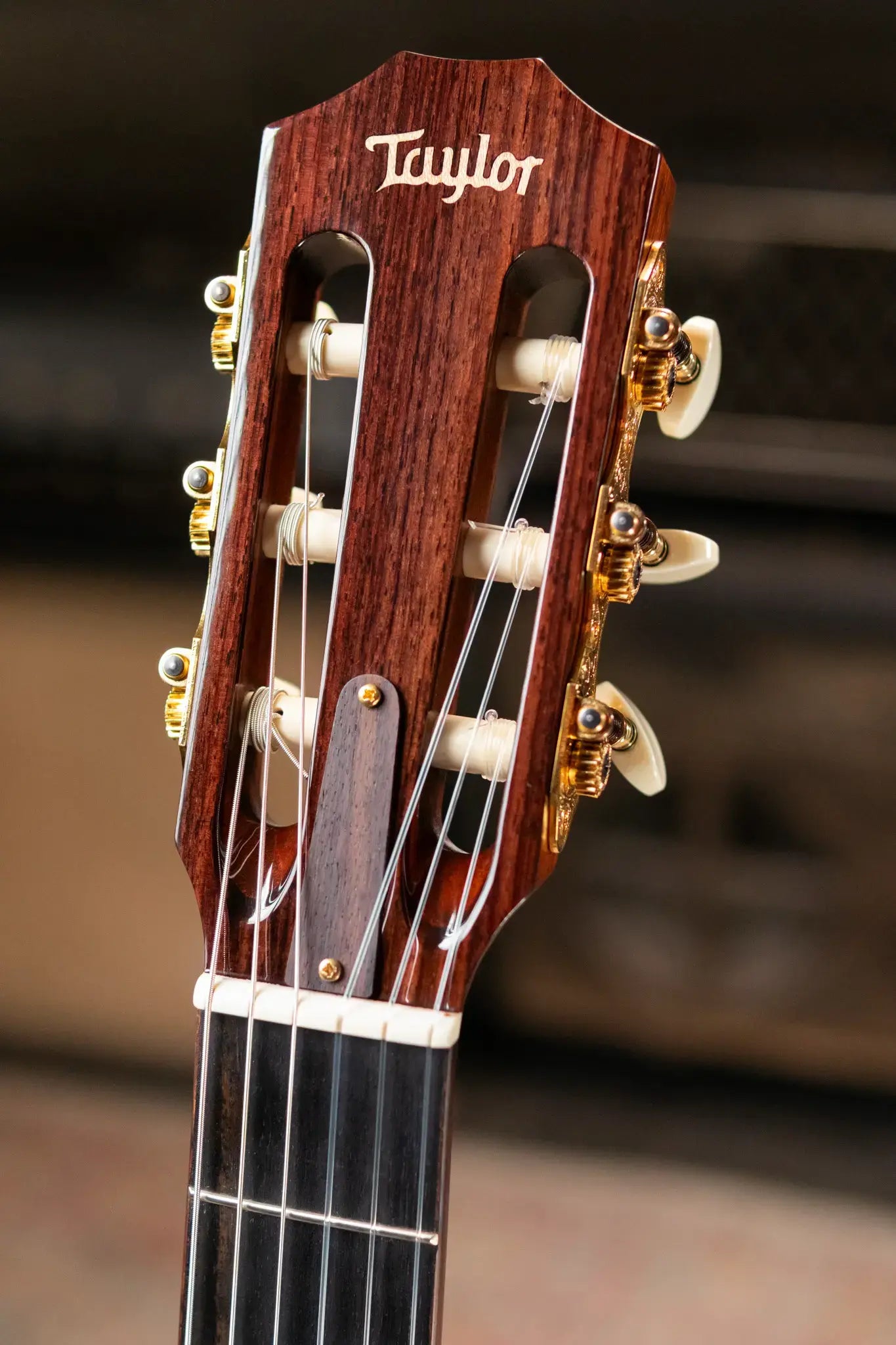 Taylor JMSM Jason Mraz Signature Nylon Grand Concert Acoustic/Electric Guitar with Hardshell Case