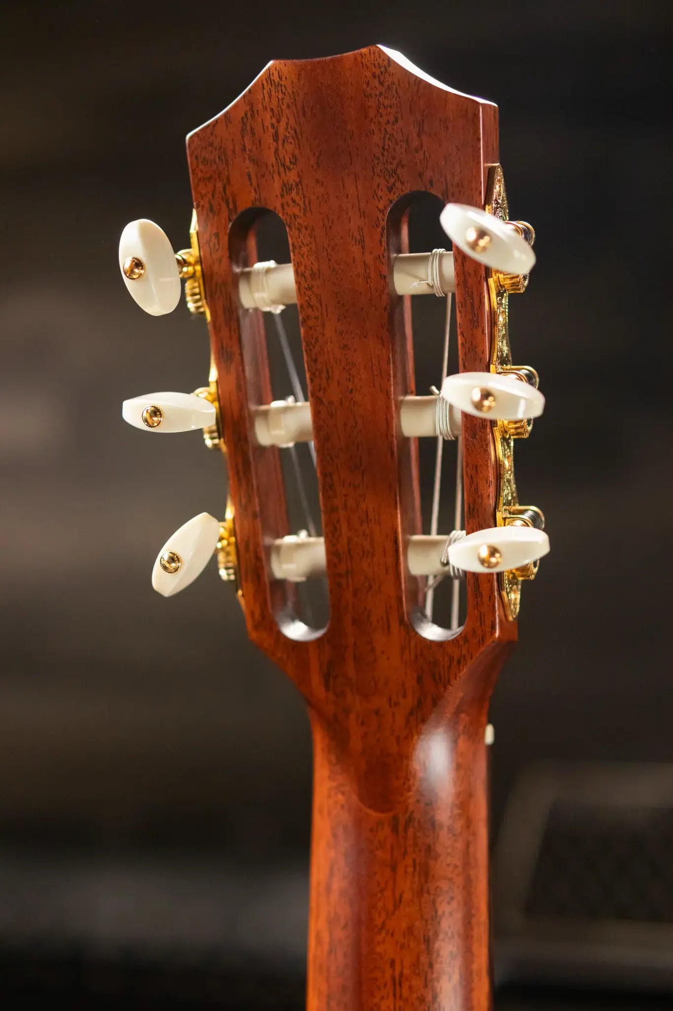 Taylor JMSM Jason Mraz Signature Nylon Grand Concert Acoustic/Electric Guitar with Hardshell Case