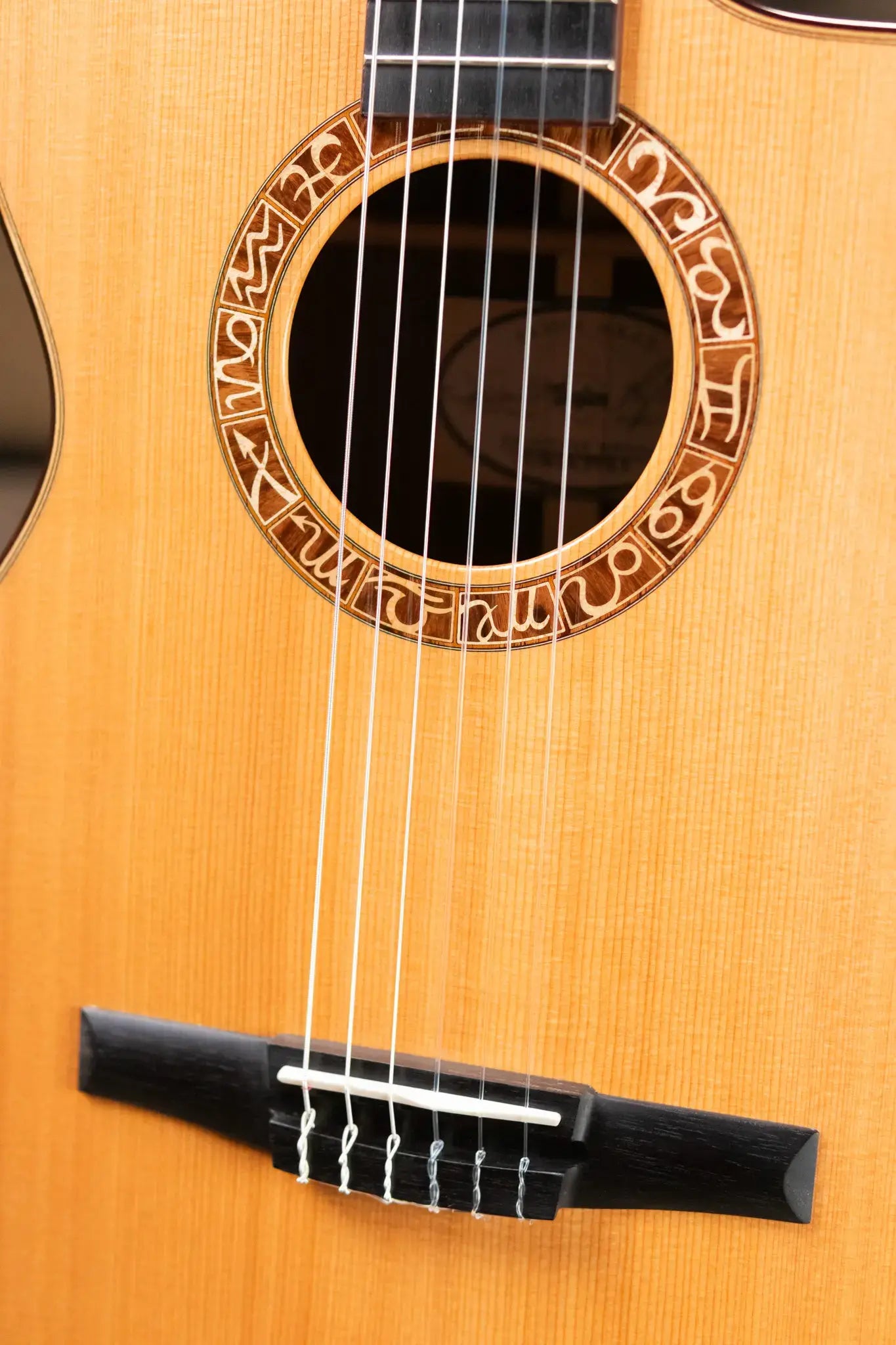 Taylor JMSM Jason Mraz Signature Nylon Grand Concert Acoustic/Electric Guitar with Hardshell Case