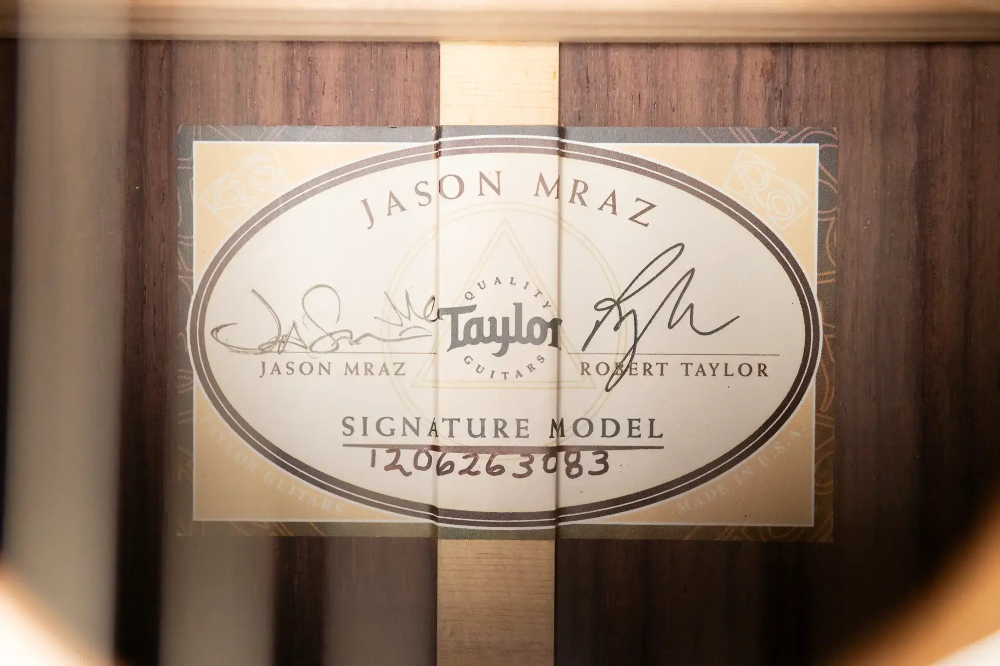 Taylor JMSM Jason Mraz Signature Nylon Grand Concert Acoustic/Electric Guitar with Hardshell Case