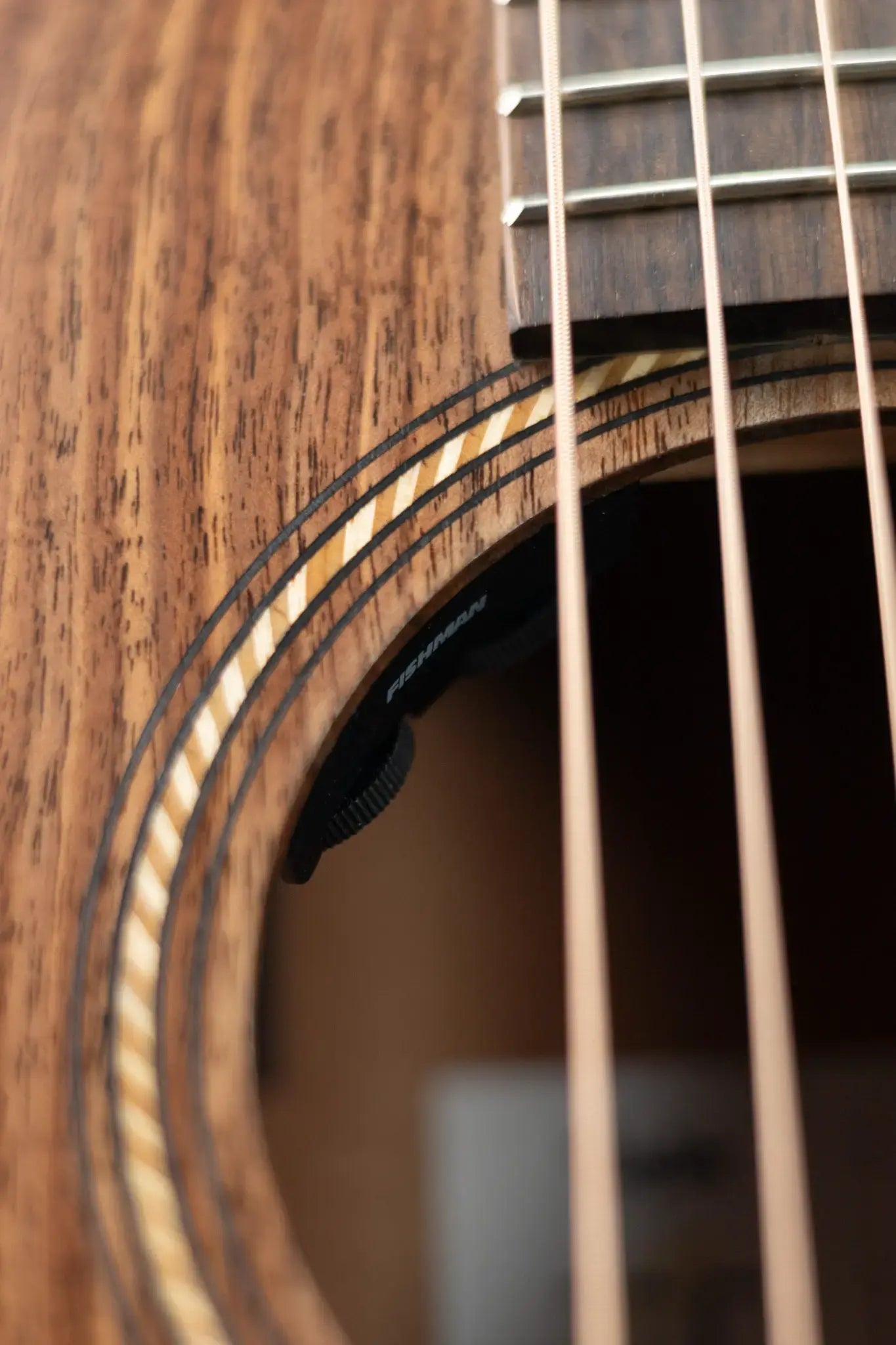 Taylor Jacob Collier Academy 22e 5-String Grand Concert Acoustic/Electric Guitar with Gig Bag