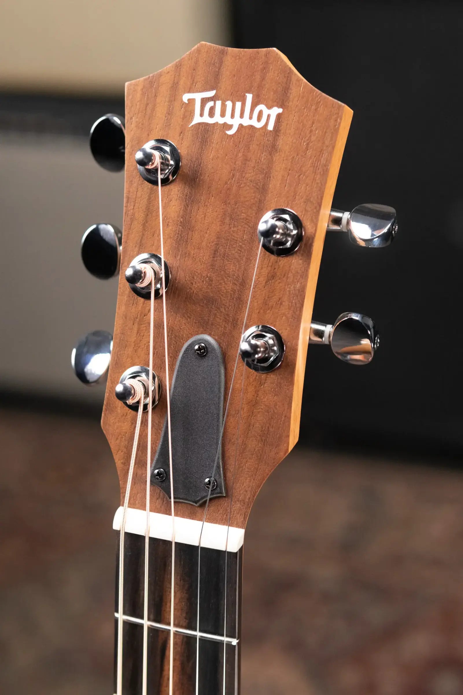 Taylor Jacob Collier GS Mini 5-String Acoustic Guitar with GS Mini Bag