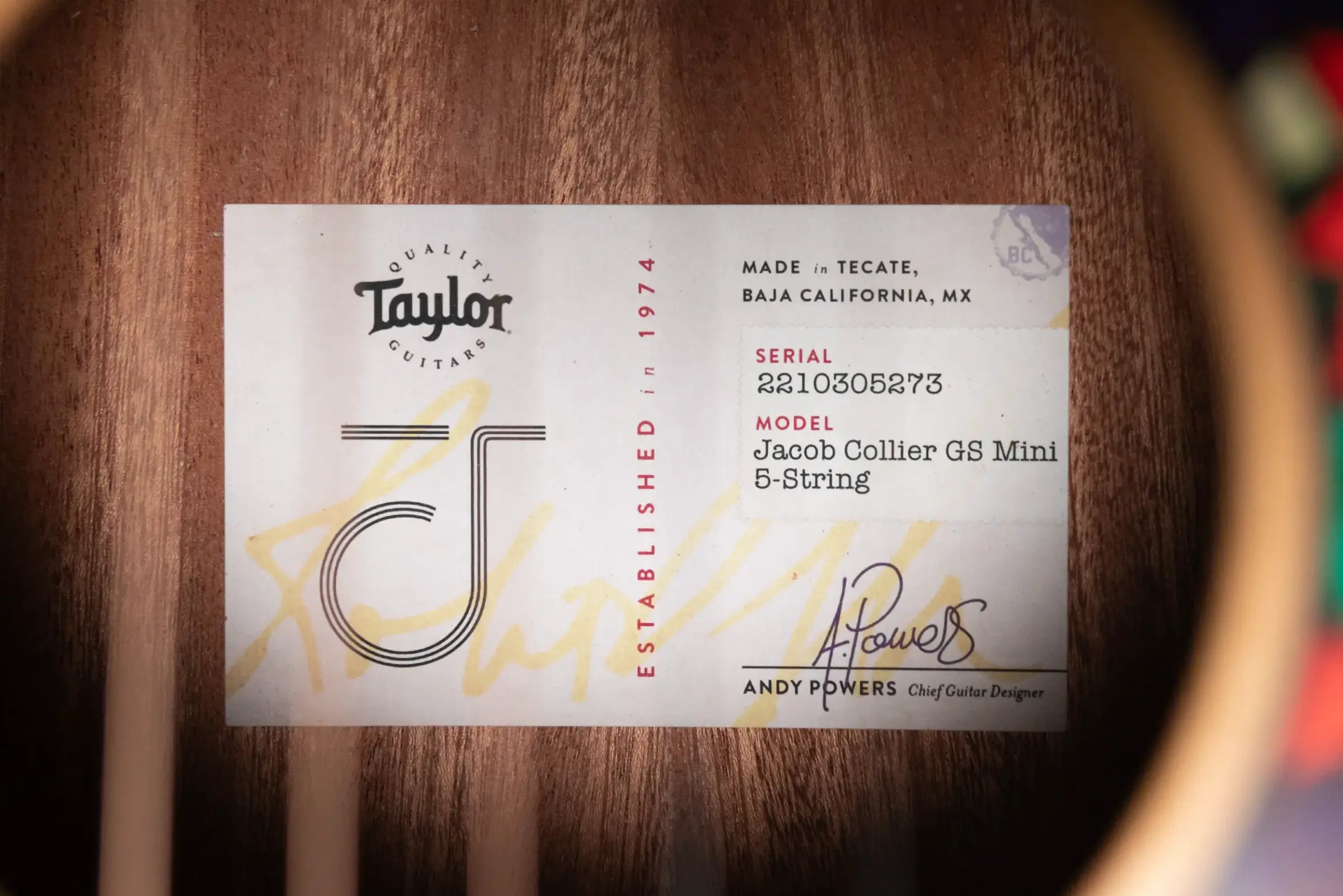 Taylor Jacob Collier GS Mini 5-String Acoustic Guitar with GS Mini Bag