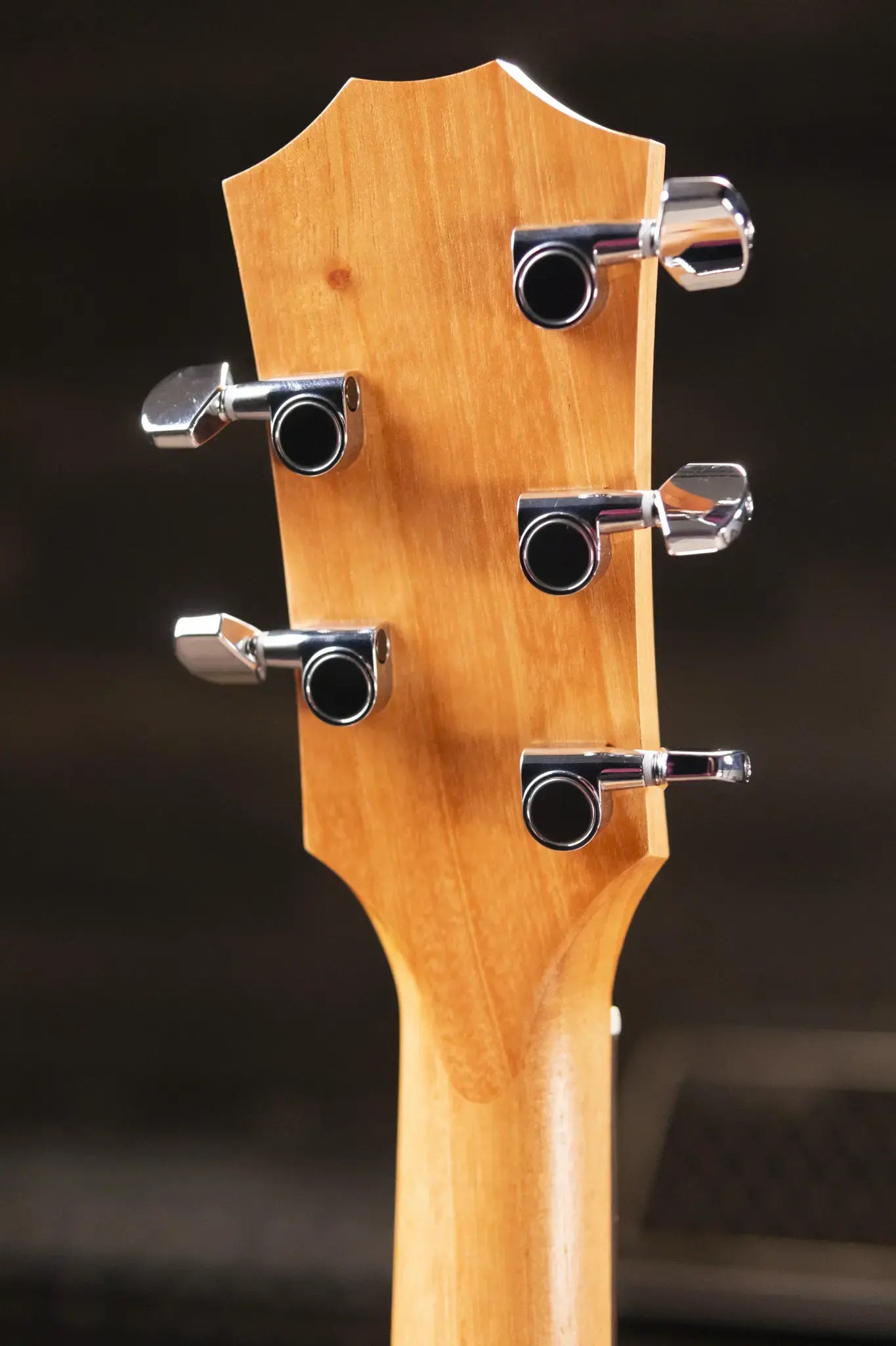 Taylor Jacob Collier Signature Academy 22e 5-String Acoustic/Electric Guitar with Gig Bag