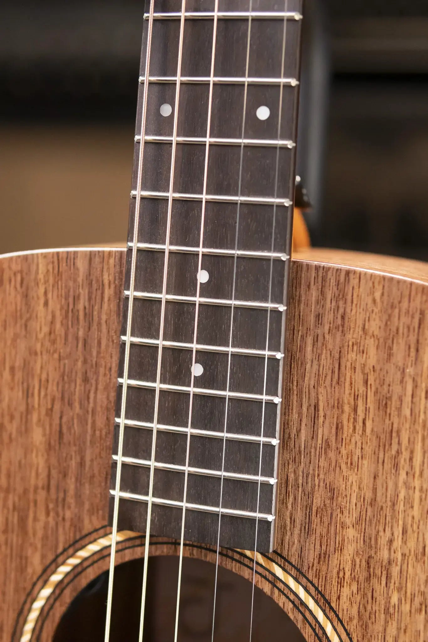 Taylor Jacob Collier Signature Academy 22e 5-String Acoustic/Electric Guitar with Gig Bag