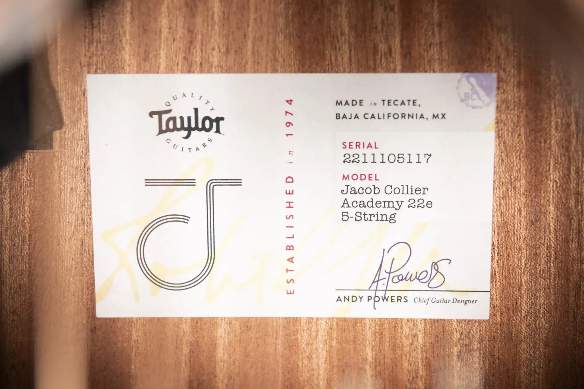 Taylor Jacob Collier Signature Academy 22e 5-String Acoustic/Electric Guitar with Gig Bag