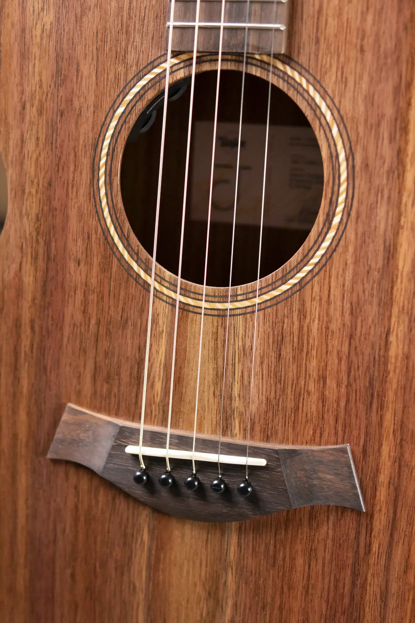 Taylor Jacob Collier Signature Academy 22e 5-String Grand Concert Acoustic/Electric Guitar with Gig Bag