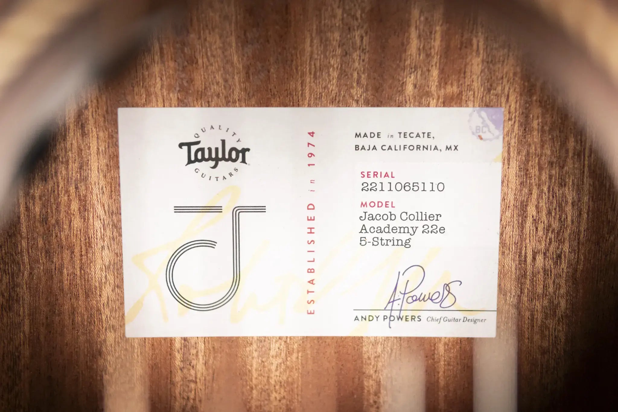 Taylor Jacob Collier Signature Academy 22e 5-String Grand Concert Acoustic/Electric Guitar with Gig Bag