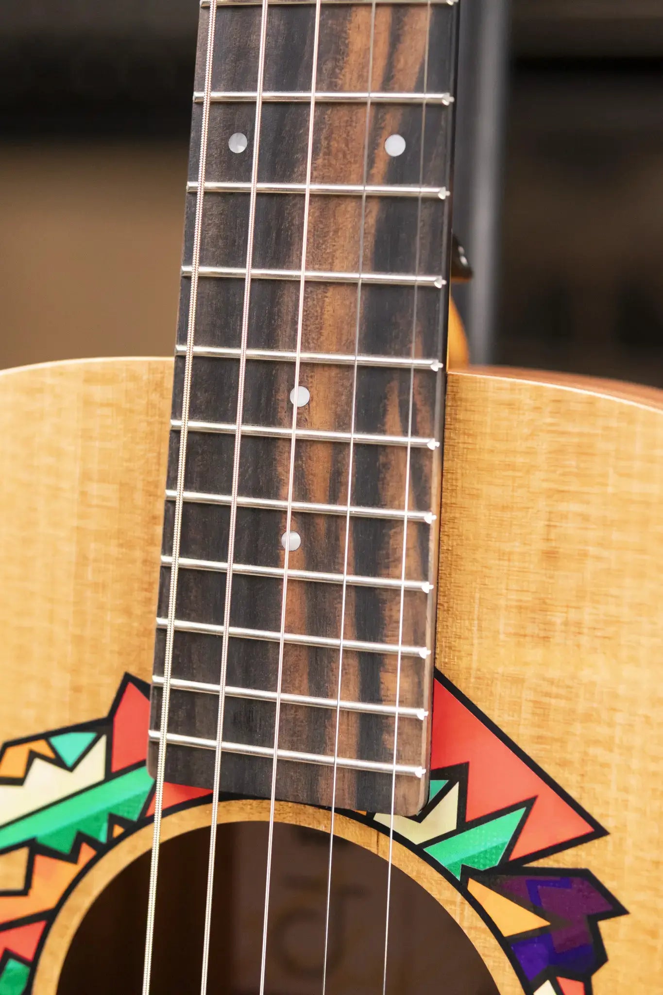 Taylor Jacob Collier Signature GS Mini 5-String Acoustic Guitar with GS Mini Bag