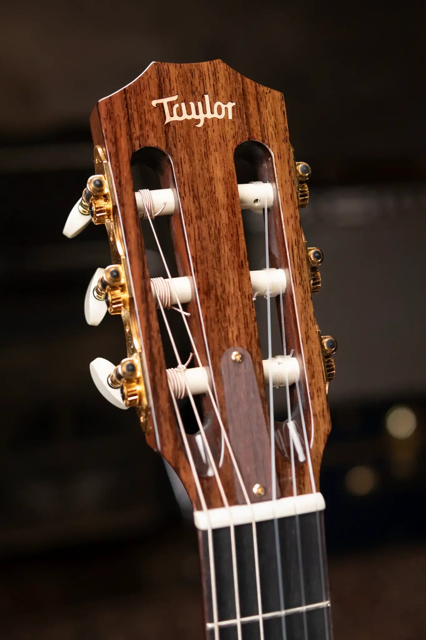 Taylor Jason Mraz Signature Grand Concert Nylon Acoustic/Electric with Deluxe Hardshell Case - Floor Model Demo