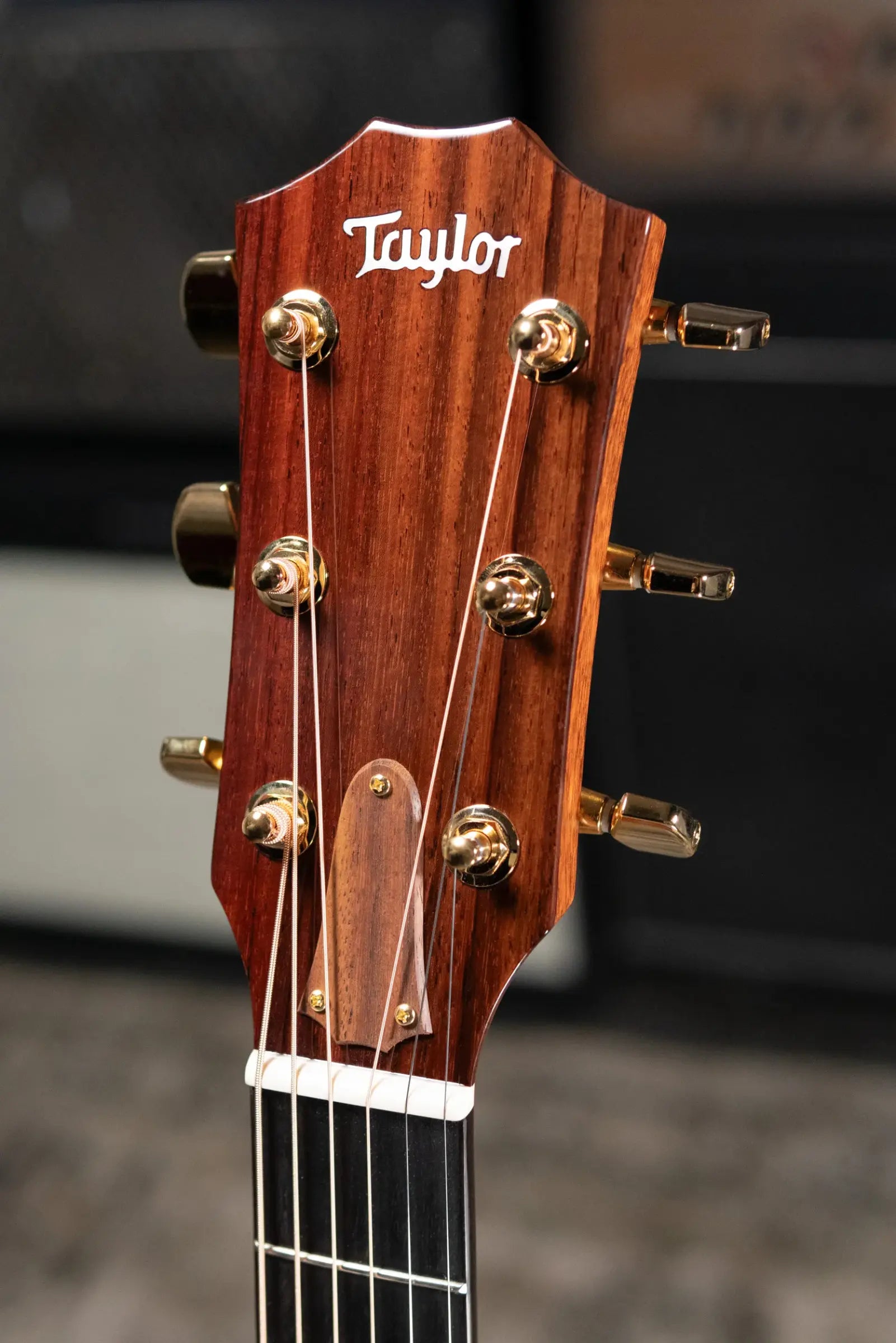 Taylor Legacy 514ce Grand Auditorium Acoustic/Electric Guitar with Hardshell Case - Demo