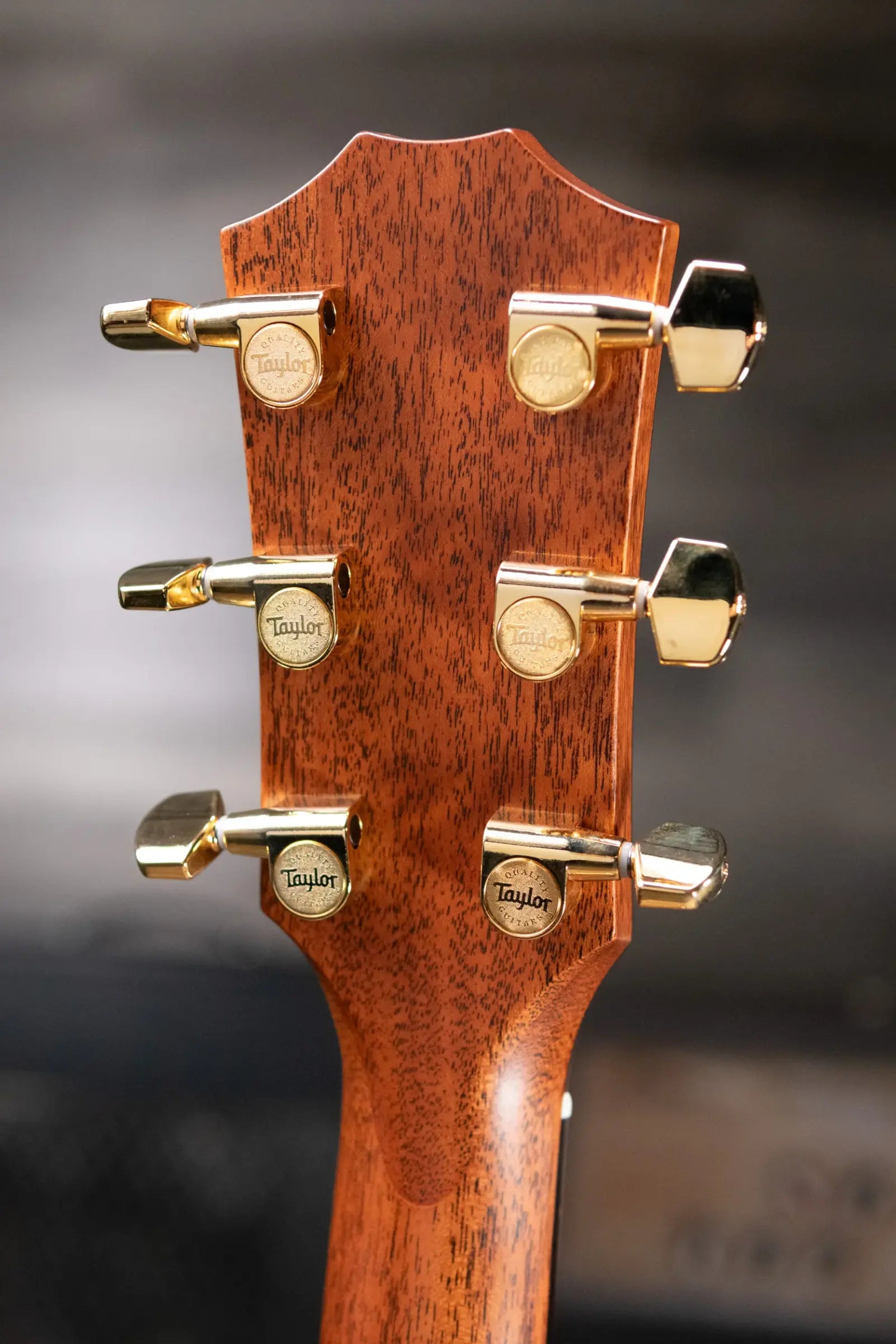 Taylor Legacy 514ce Grand Auditorium Acoustic/Electric Guitar with Hardshell Case - Demo