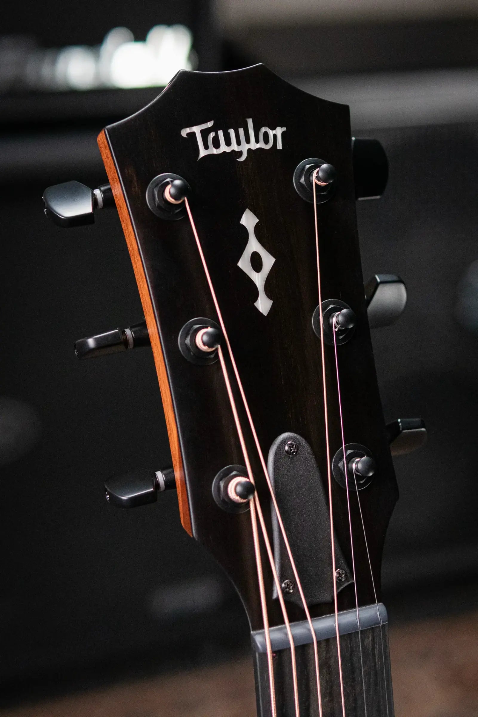 Taylor Next Generation 324ce Grand Auditorium Acoustic/Electric Guitar with Hardshell Case