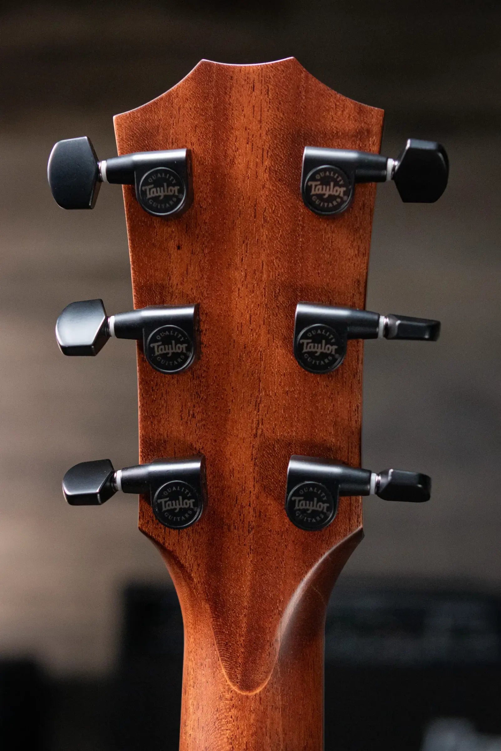 Taylor Next Generation 324ce Grand Auditorium Acoustic/Electric Guitar with Hardshell Case