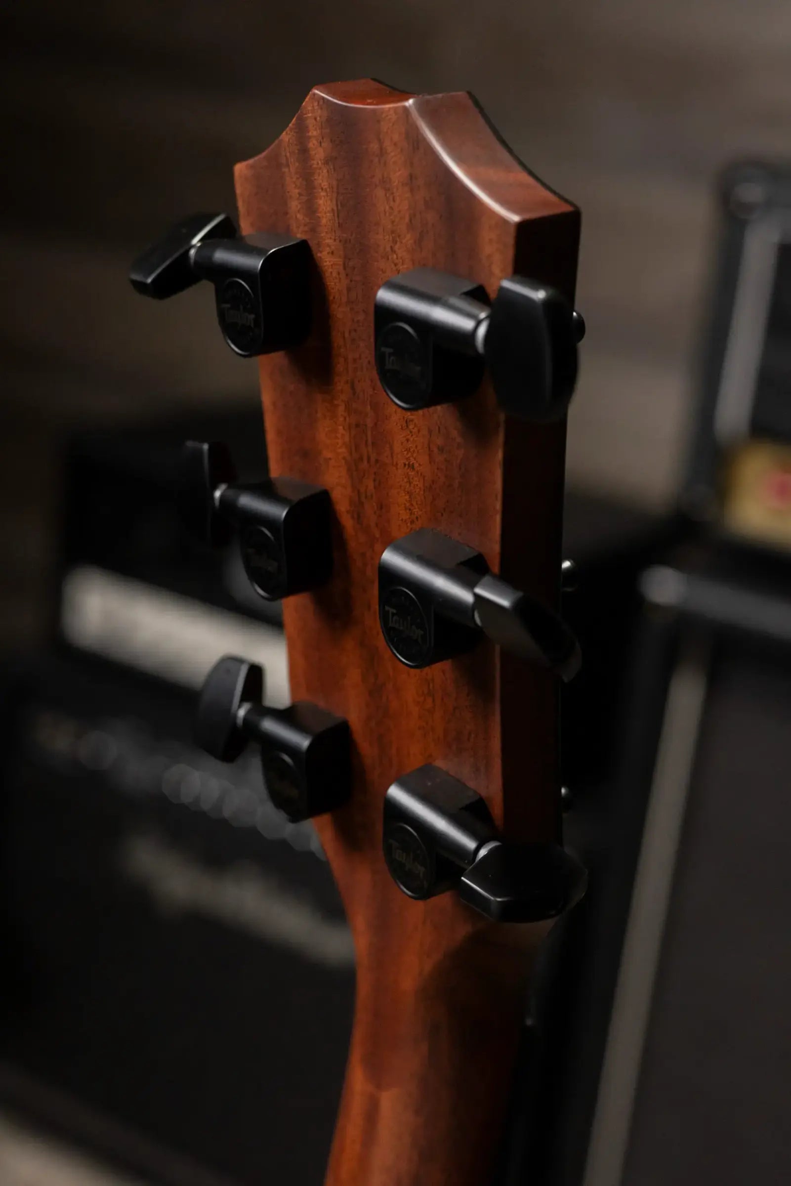 Taylor Next Generation 324ce Left-Handed Grand Auditorium Acoustic/Electric Guitar with Hardshell Case