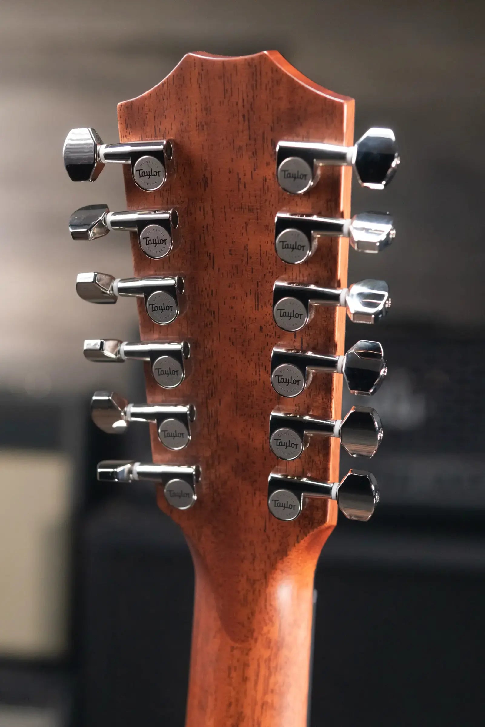 Taylor Next Generation 454ce 12-String Grand Auditorium Acoustic/Electric Guitar with Hardshell Case