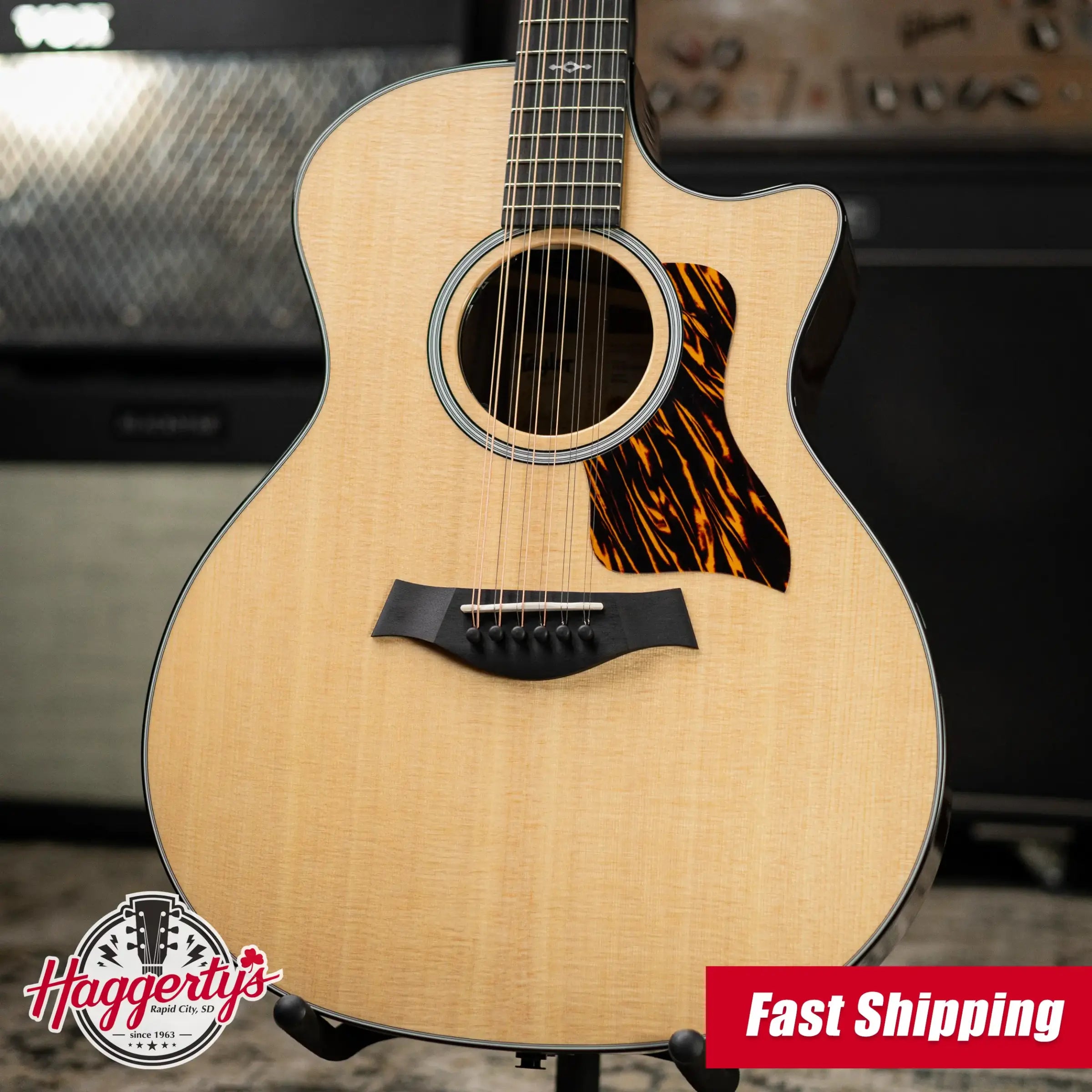 Taylor Next Generation 454ce 12-String Grand Auditorium Acoustic/Electric Guitar with Hardshell Case