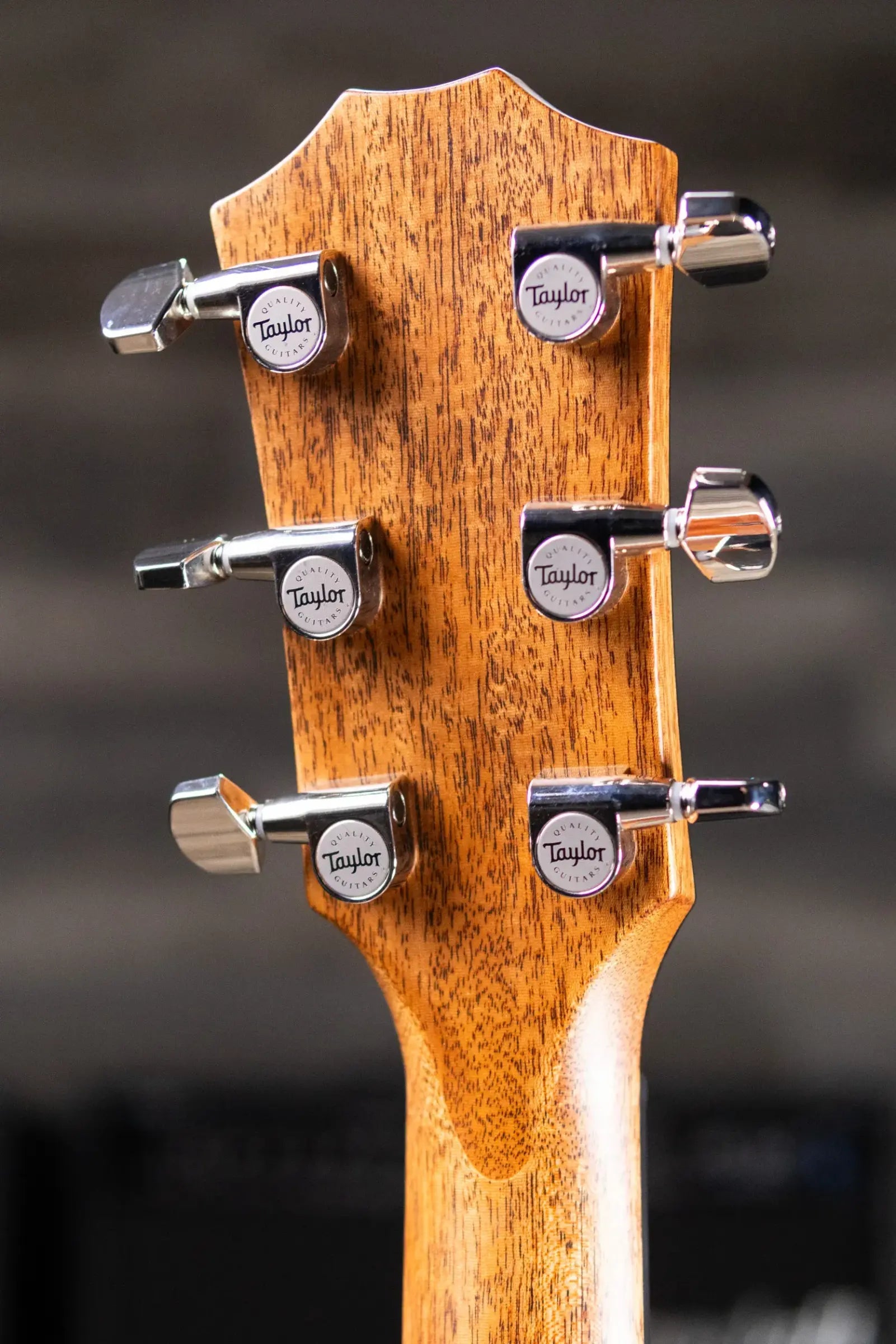 Taylor Next Generation 514ce Grand Auditorium Acoustic/Electric Guitar with Hardshell Case