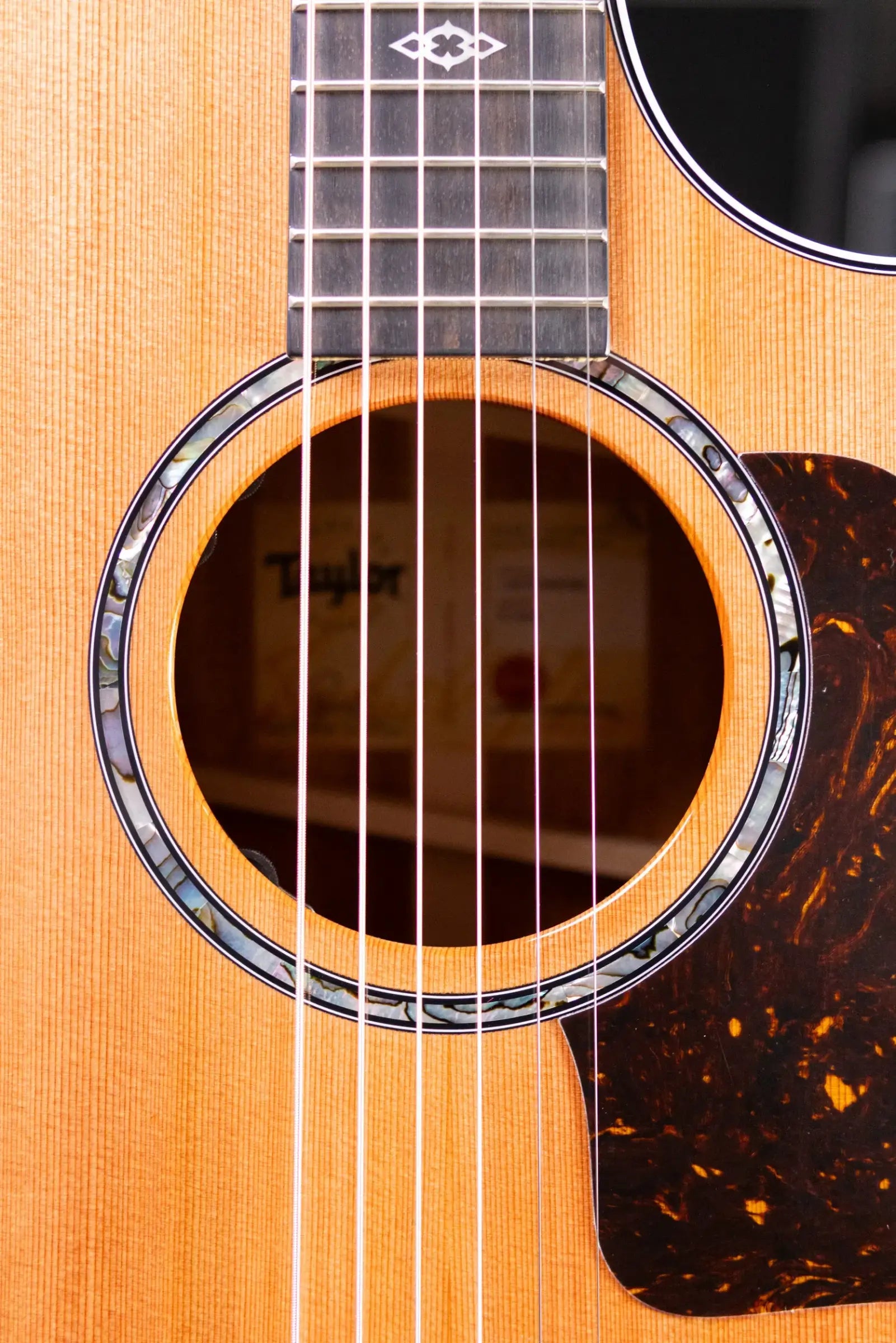 Taylor Next Generation 514ce Grand Auditorium Acoustic/Electric Guitar with Hardshell Case
