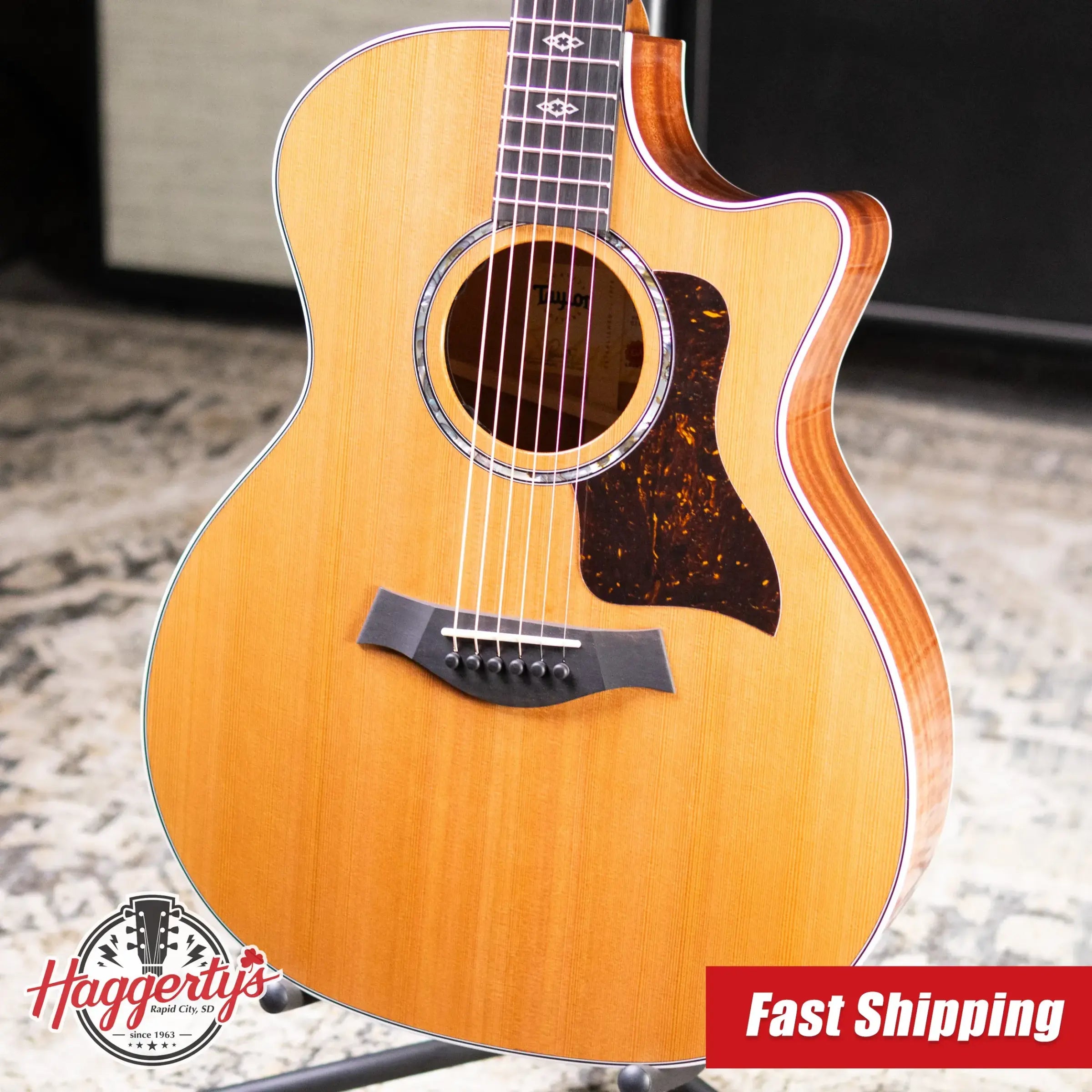 Taylor Next Generation 514ce Grand Auditorium Acoustic/Electric Guitar with Hardshell Case