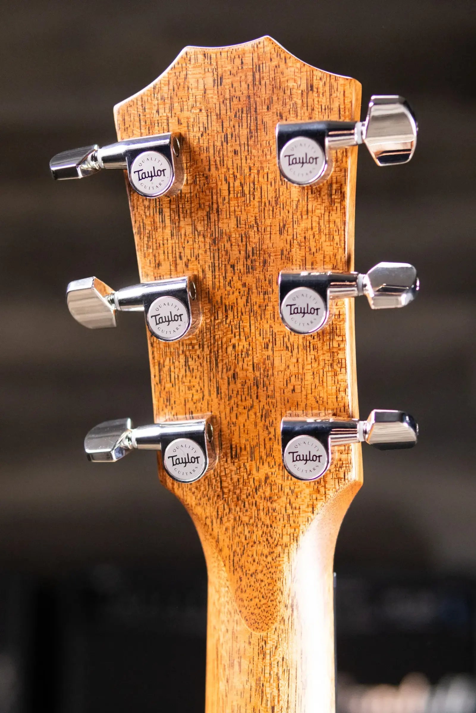 Taylor Next Generation 514ce Grand Auditorium Acoustic/Electric Guitar with Hardshell Case