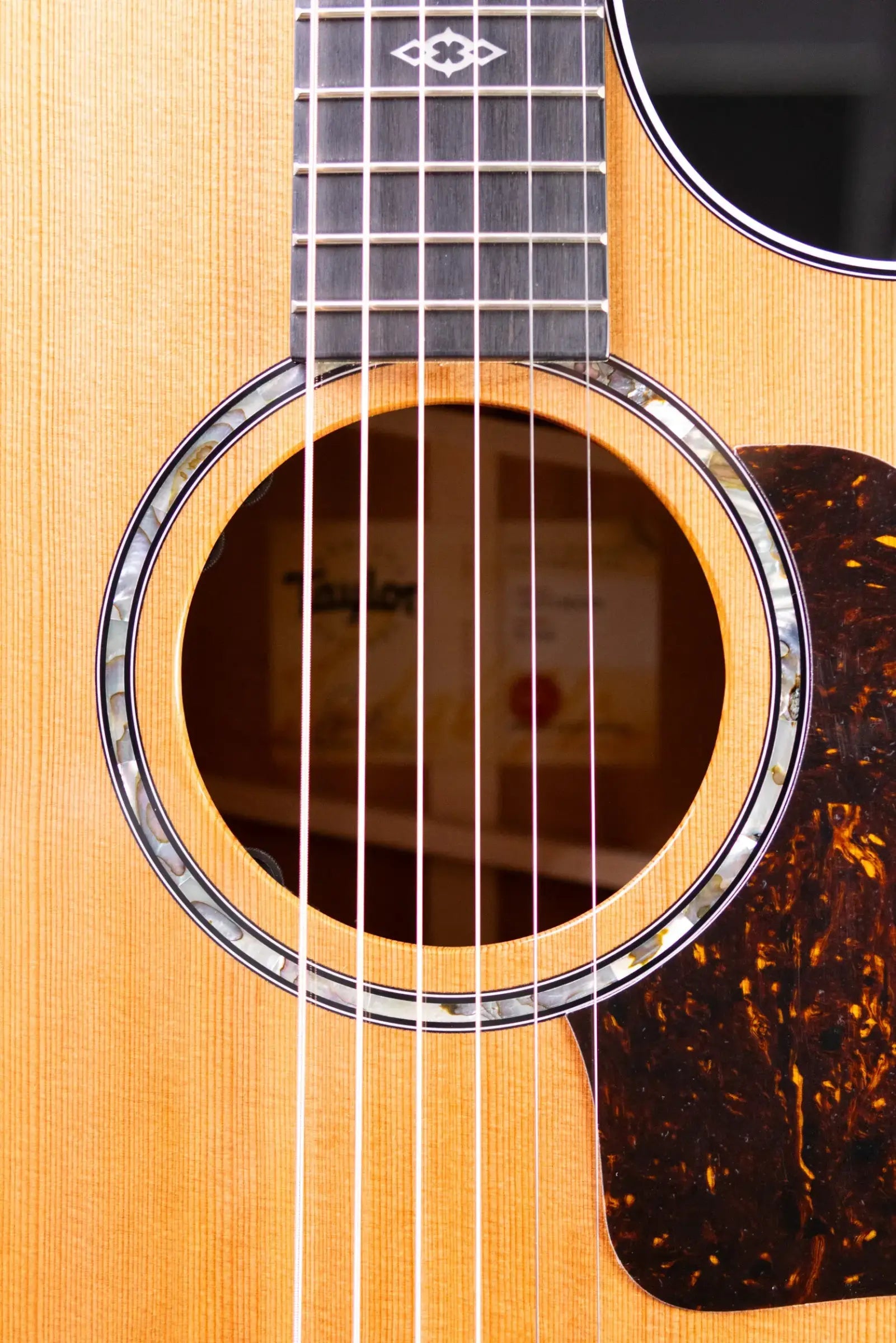Taylor Next Generation 514ce Grand Auditorium Acoustic/Electric Guitar with Hardshell Case