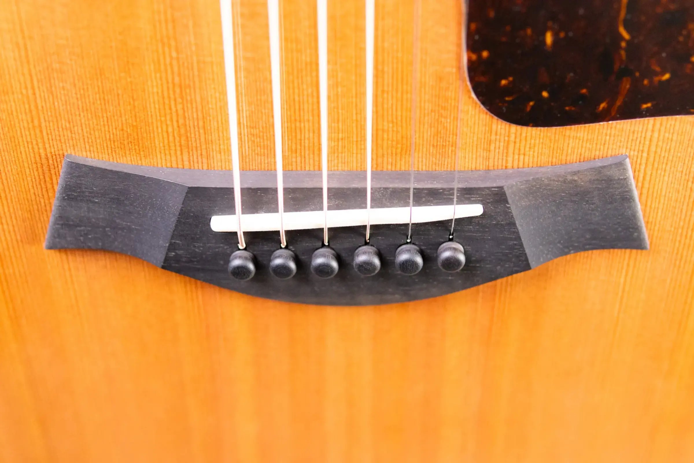 Taylor Next Generation 514ce Grand Auditorium Acoustic/Electric Guitar with Hardshell Case