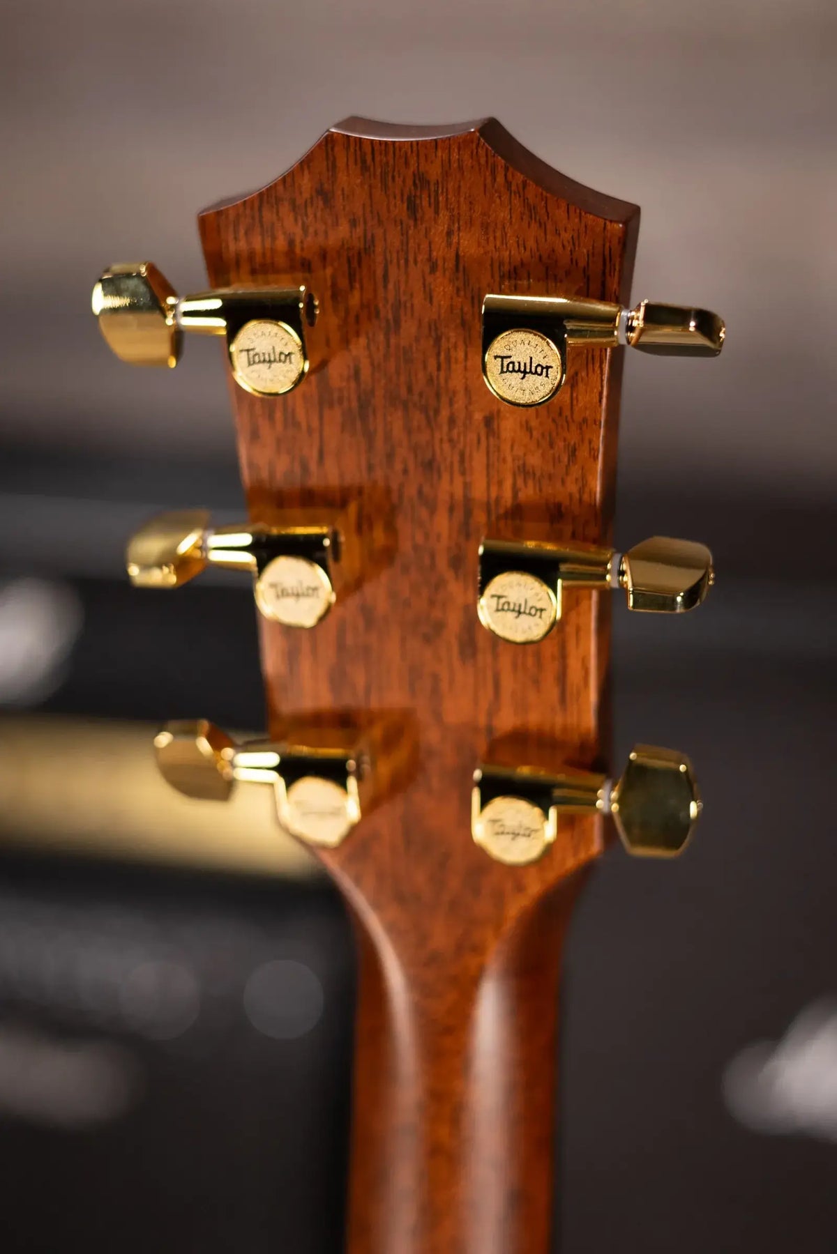 Taylor Next Generation 714ce Grand Auditorium Acoustic/Electric Guitar - Cedar/Indian Rosewood with Hardshell Case