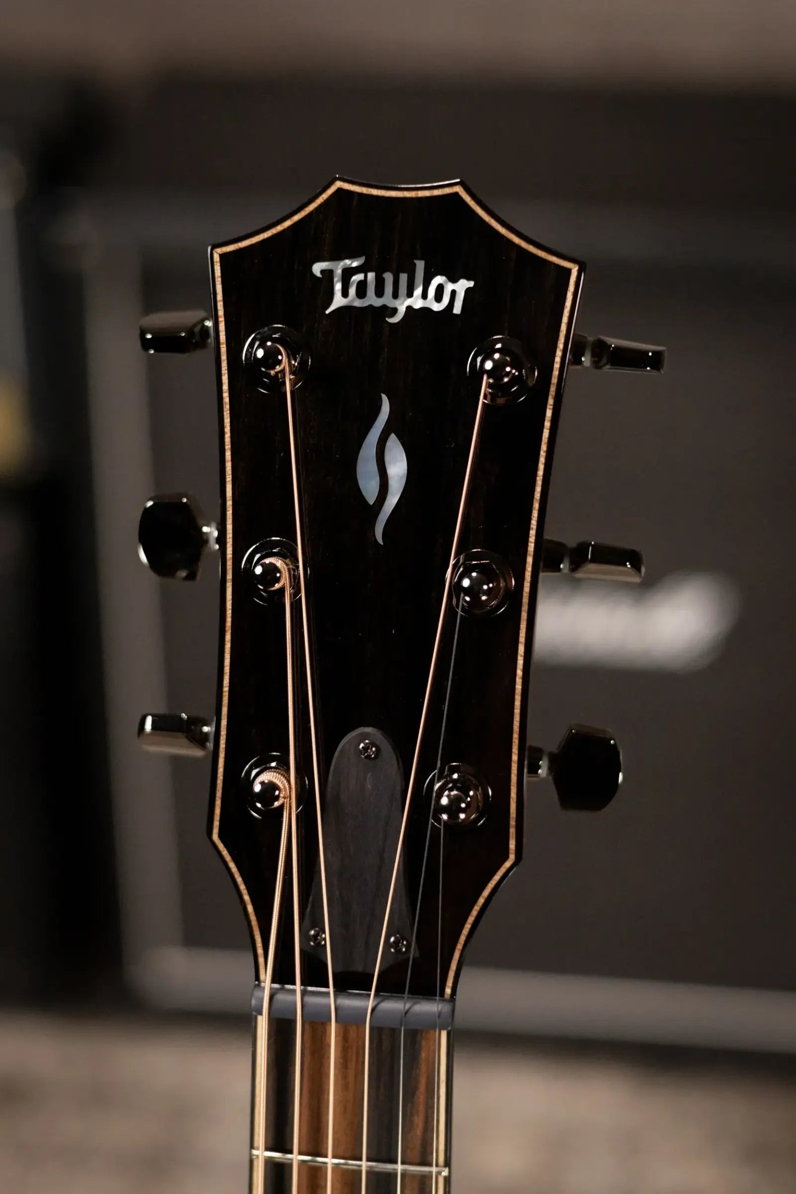 Taylor Next Generation 814ce LTD Grand Auditorium Acoustic/Electric Guitar - Casablanca Beige Metallic Top with Hardshell Case