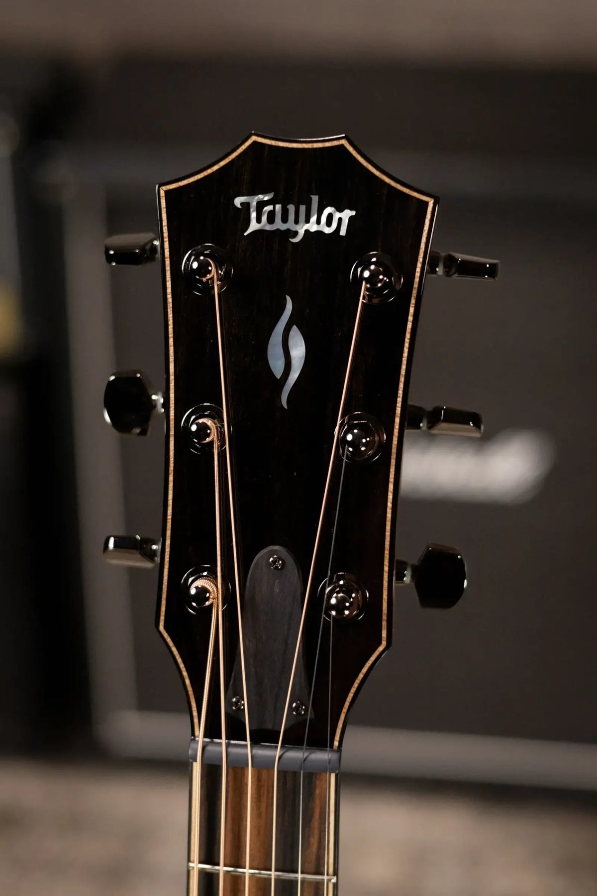 Taylor Next Generation 814ce LTD Grand Auditorium Acoustic/Electric Guitar - Casablanca Beige Metallic Top with Hardshell Case