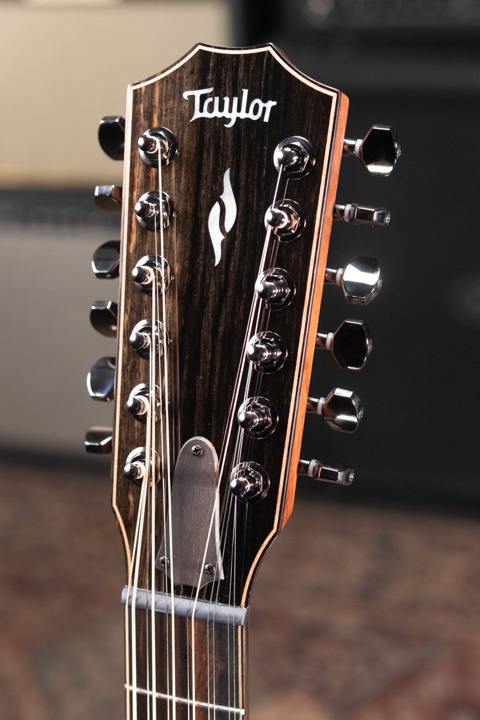 Taylor Next Generation 854ce 12-String Grand Auditorium Acoustic/Electric Guitar with Hardshell Case