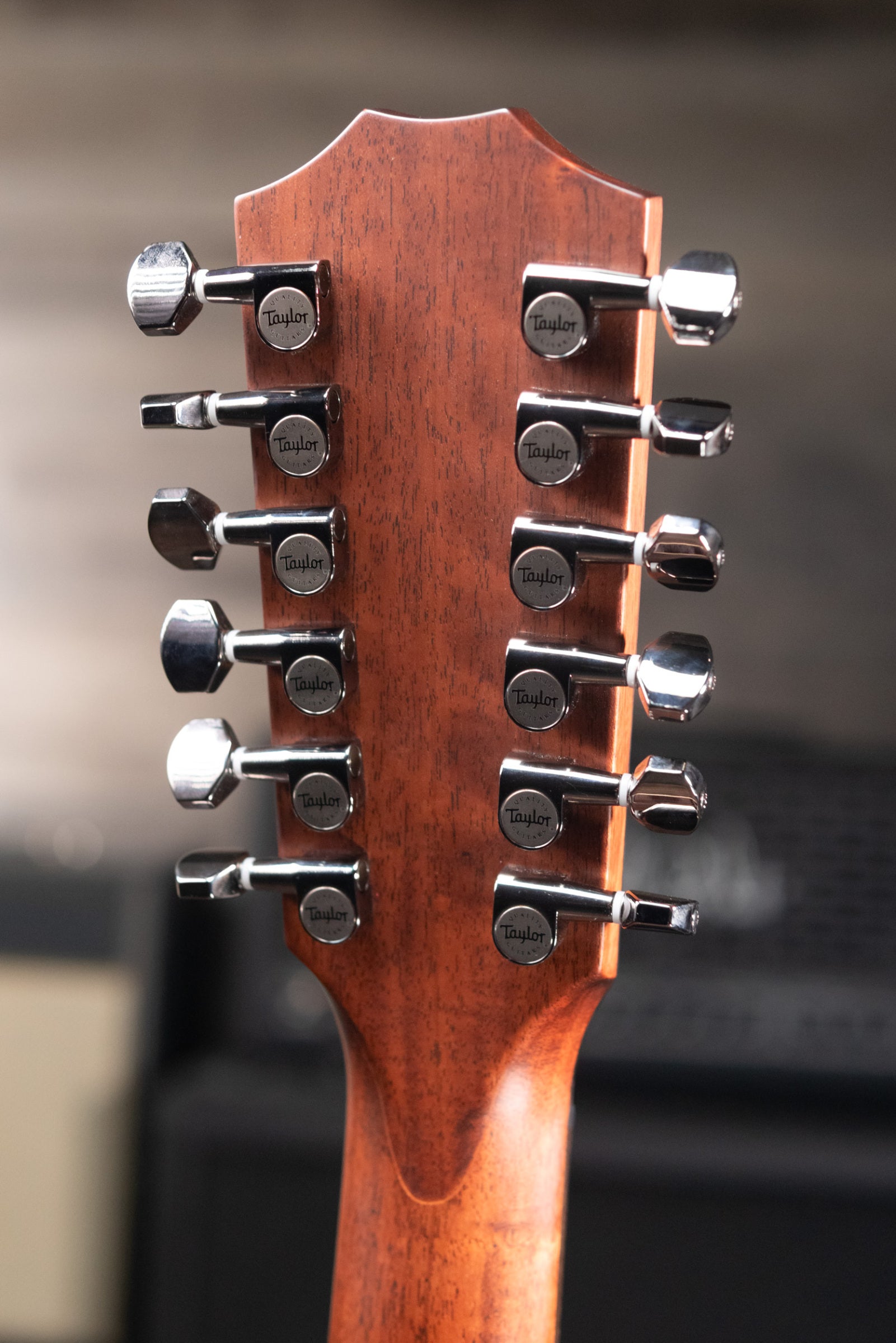 Taylor Next Generation 854ce 12-String Grand Auditorium Acoustic/Electric Guitar with Hardshell Case