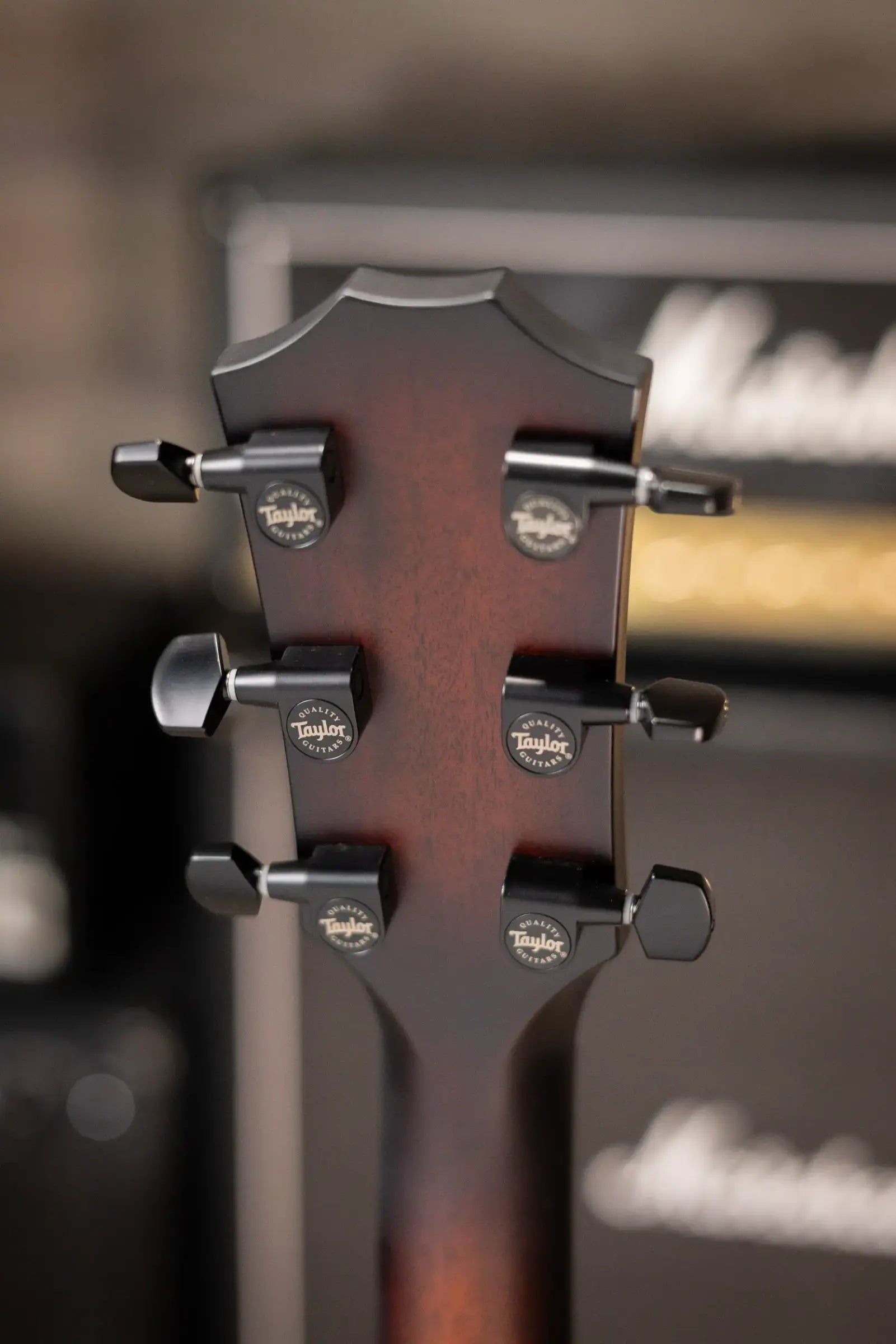 Taylor Next Generation Builder's Edition 324ce Grand Auditorium Acoustic/Electric Guitar - Tobacco Kona Burst with Hardshell Case