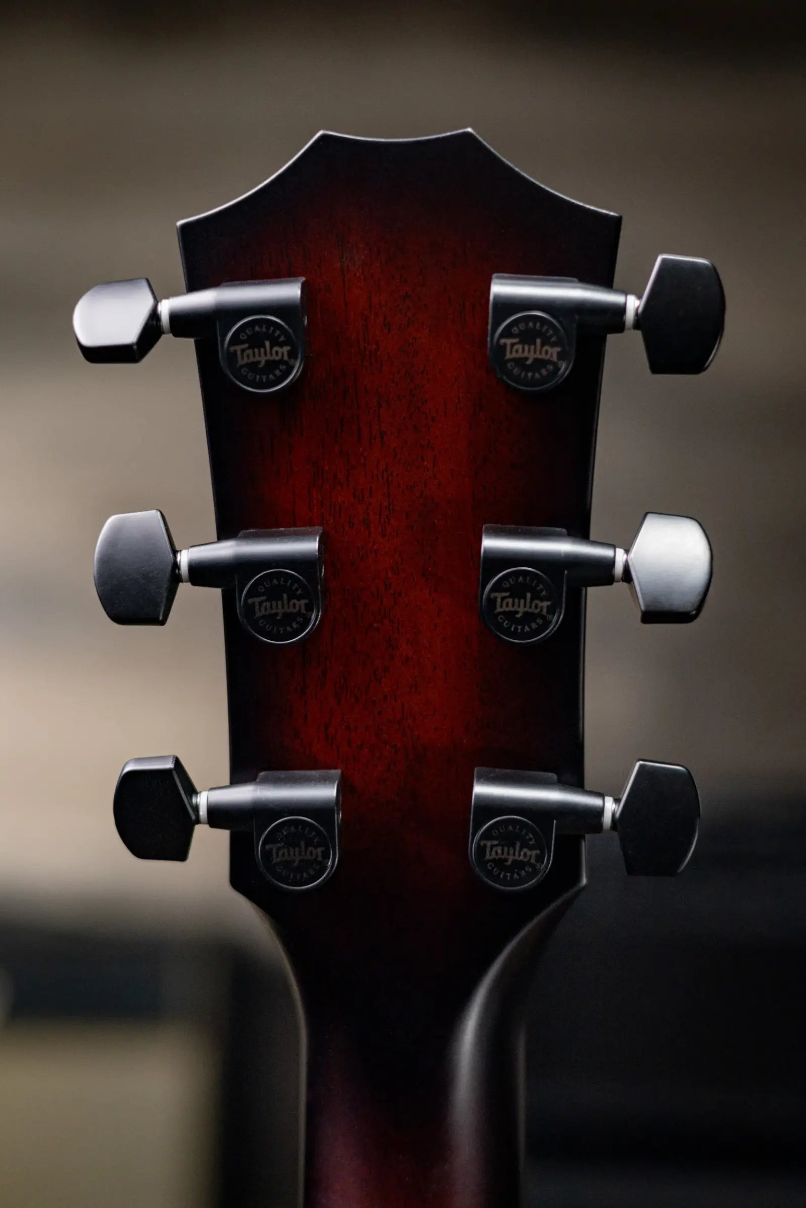 Taylor Next Generation Builder's Edition 324ce Grand Auditorium Acoustic/Electric Guitar - Tobacco Kona Burst with Hardshell Case