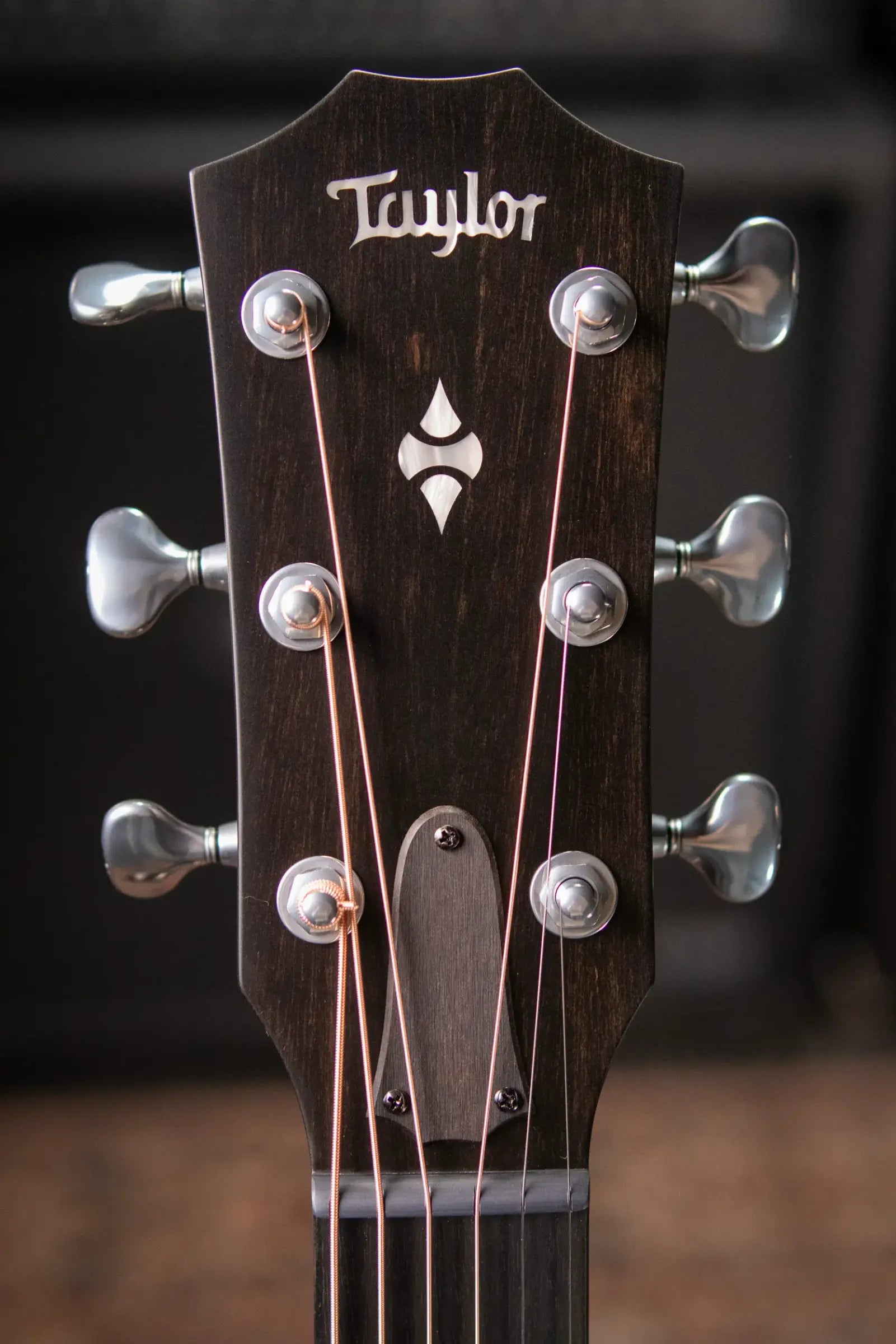 Taylor Next Generation Builder's Edition 524ce Grand Auditorium Acoustic/Electric Guitar with Hardshell Case