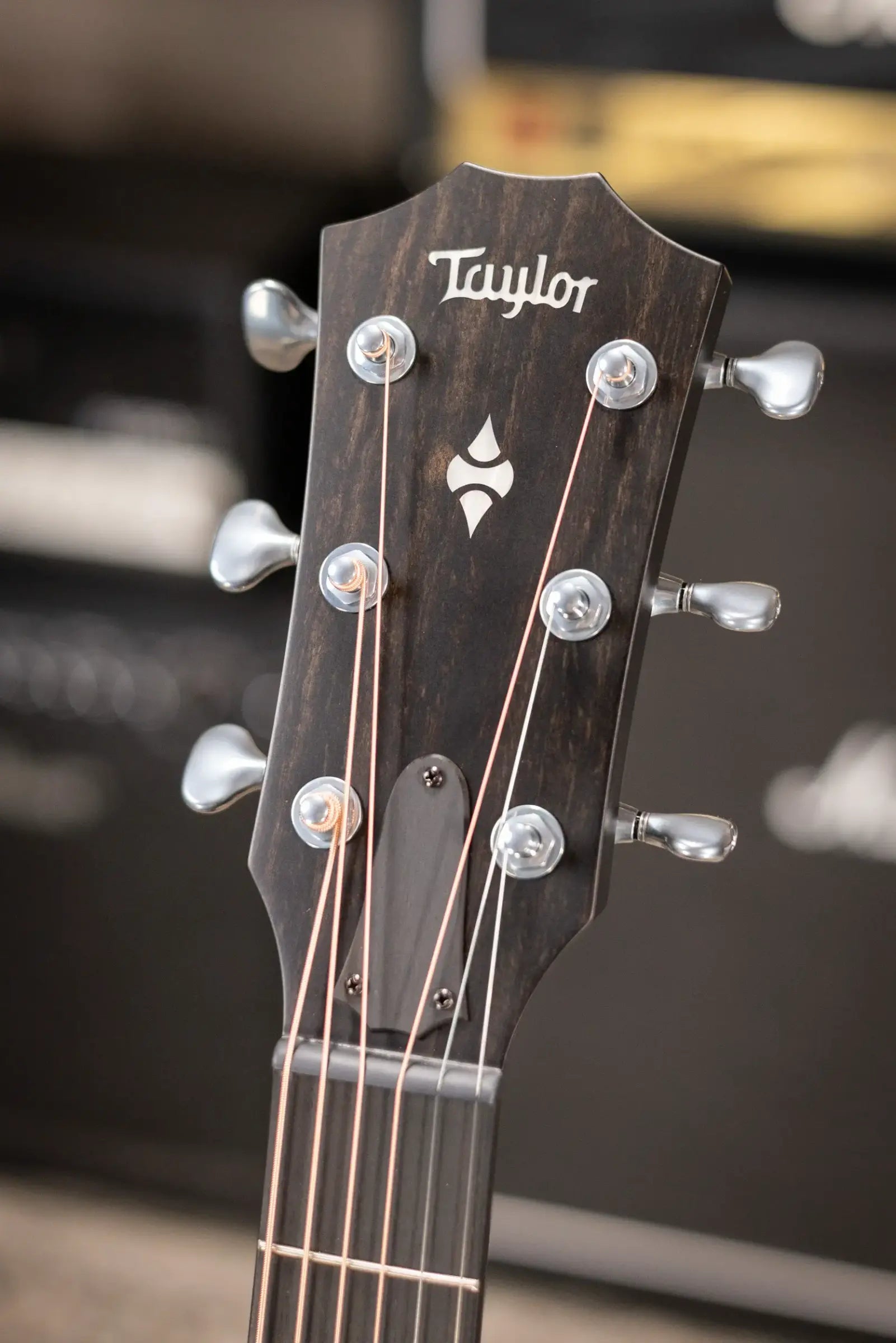 Taylor Next Generation Builder's Edition 524ce Grand Auditorium Acoustic/Electric Guitar with Hardshell Case